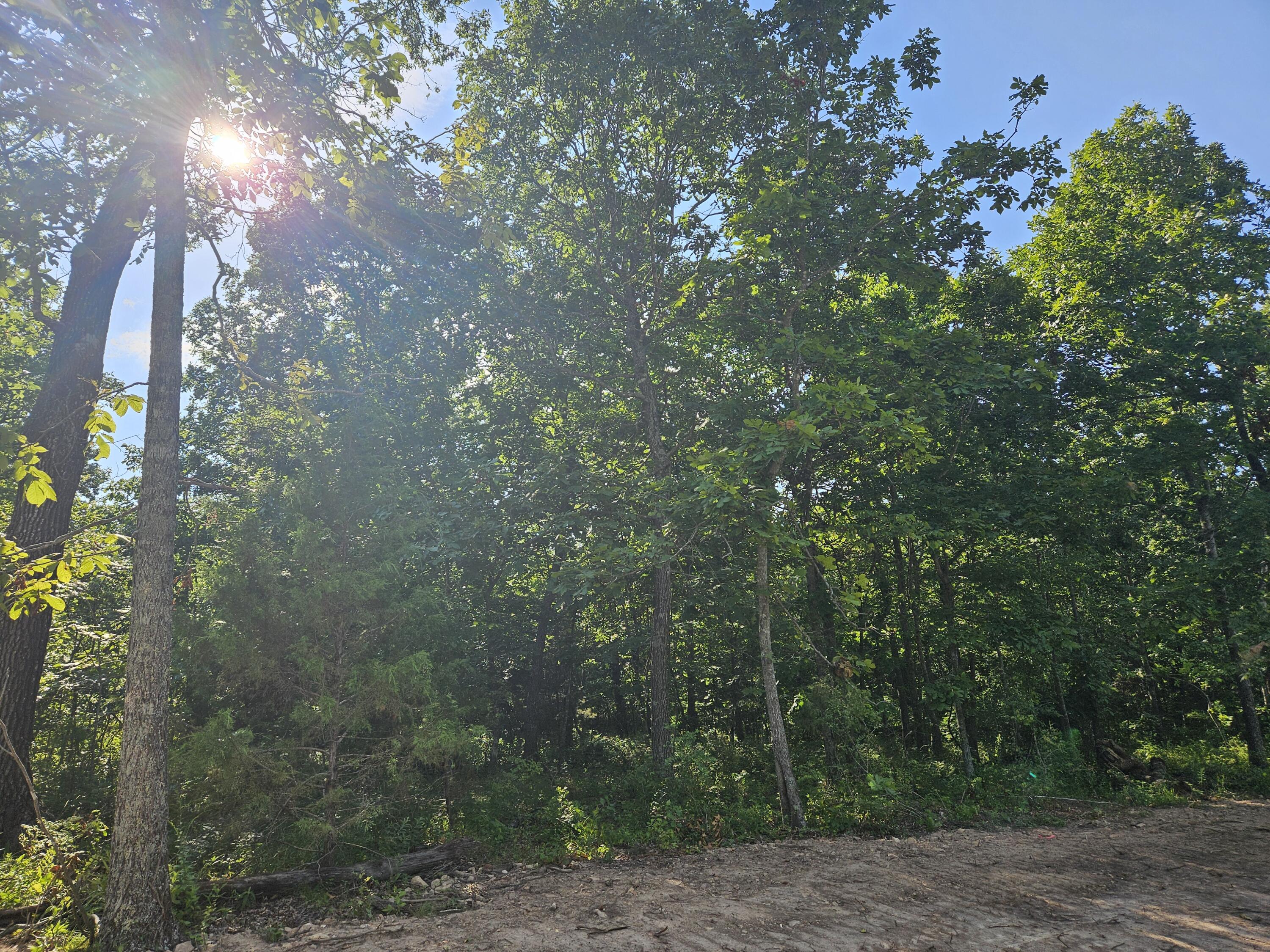 Lot 5 Deerwood Estates Property Photo 8