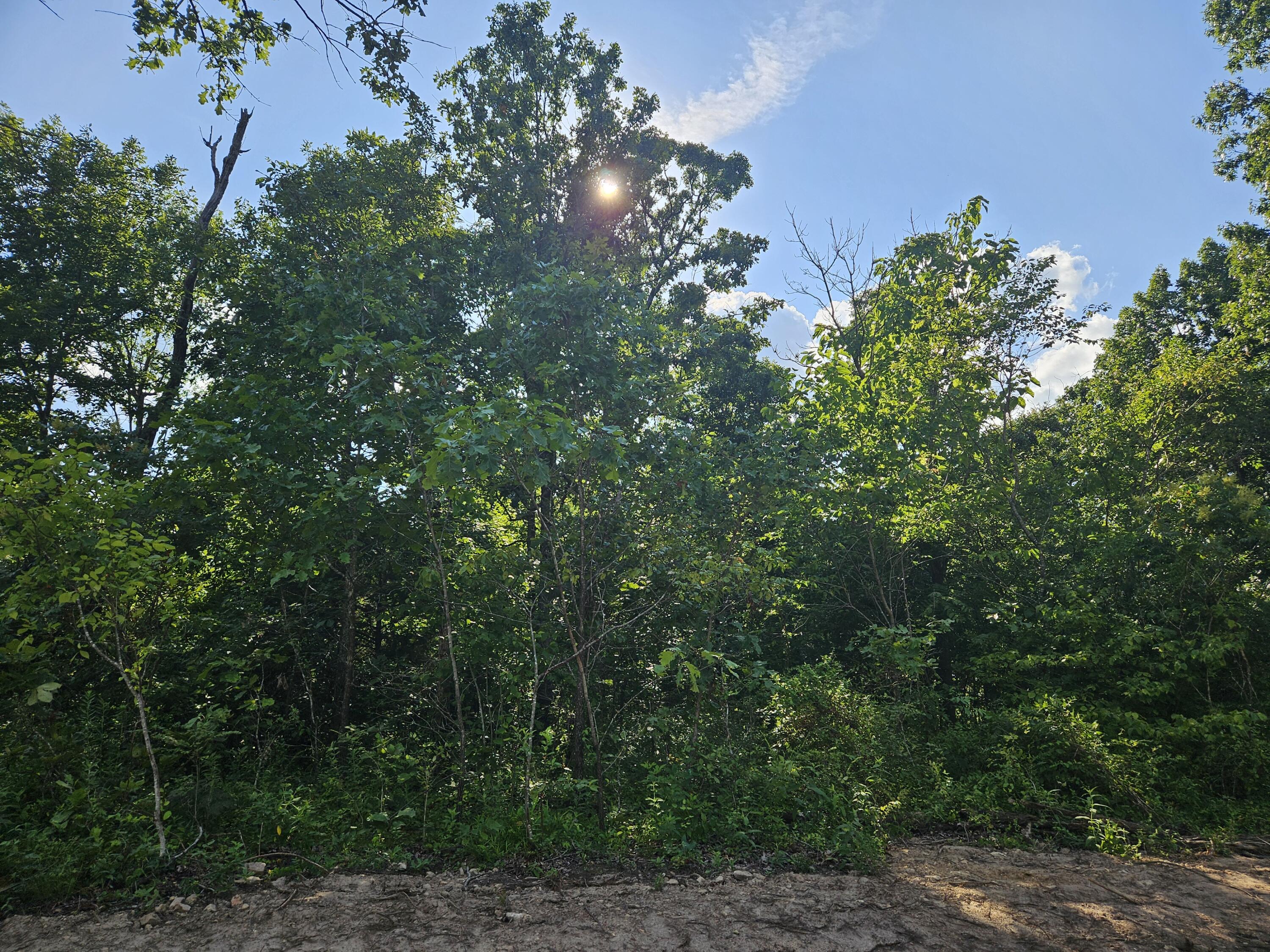 Lot 5 Deerwood Estates Property Photo 9
