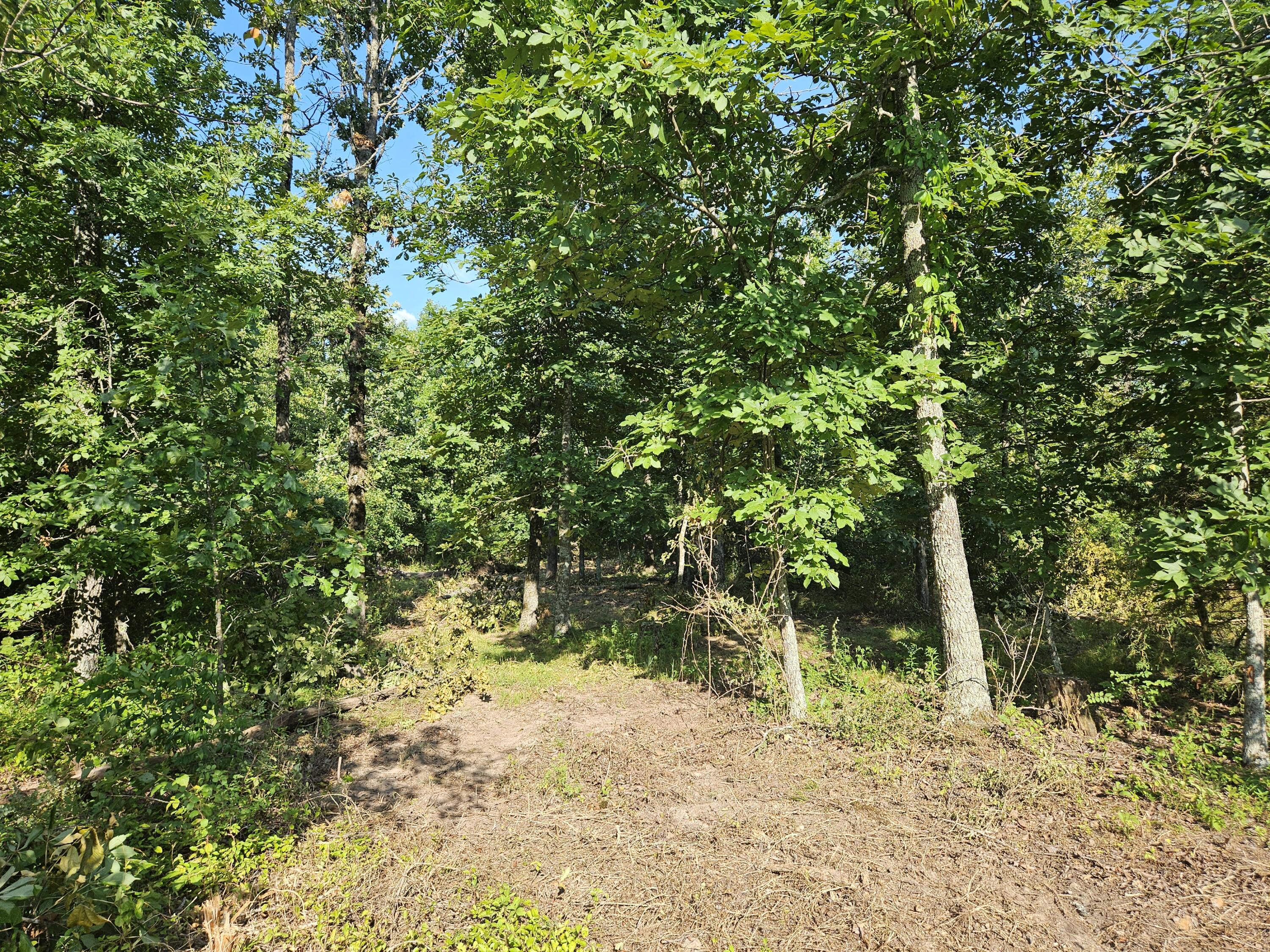 Lot 9 Deerwood Estates Property Photo 20