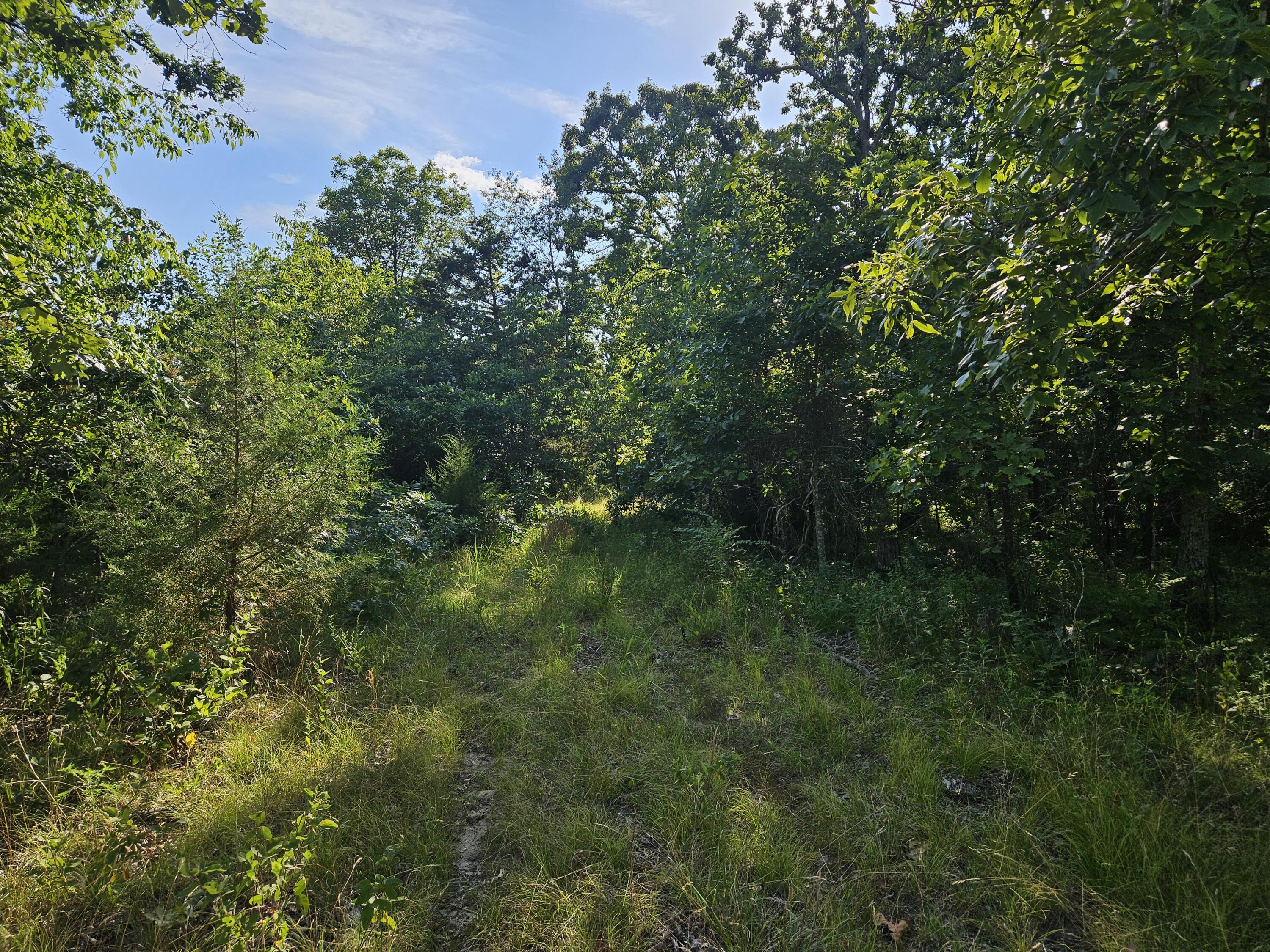 Lot 9 Deerwood Estates Property Photo 21