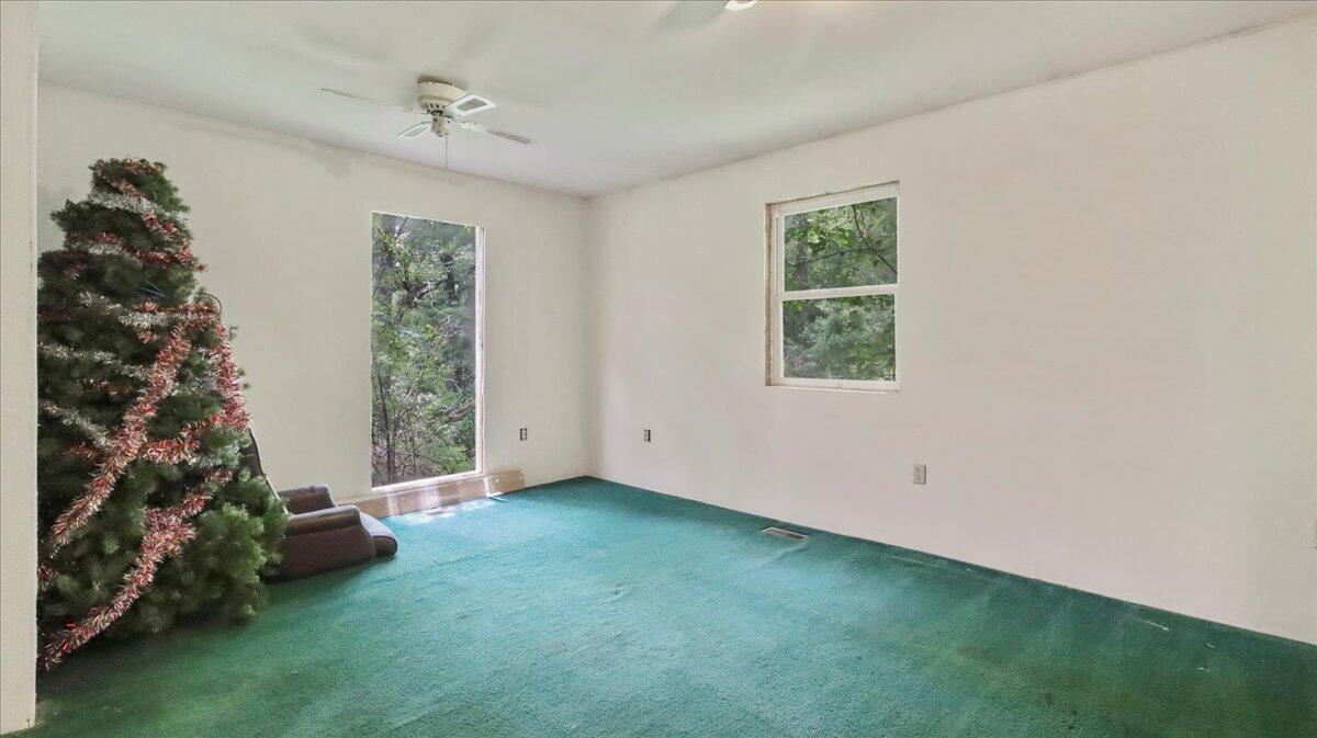 1647 County Road 1030 Property Photo 16