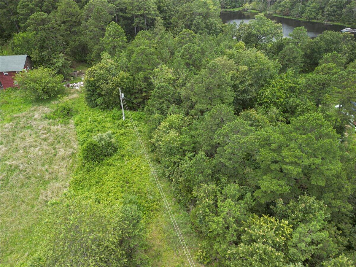 1647 County Road 1030 Property Photo 28
