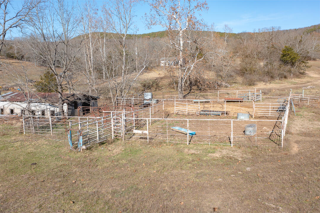 25032 Stallion Bluff Road Property Photo 33