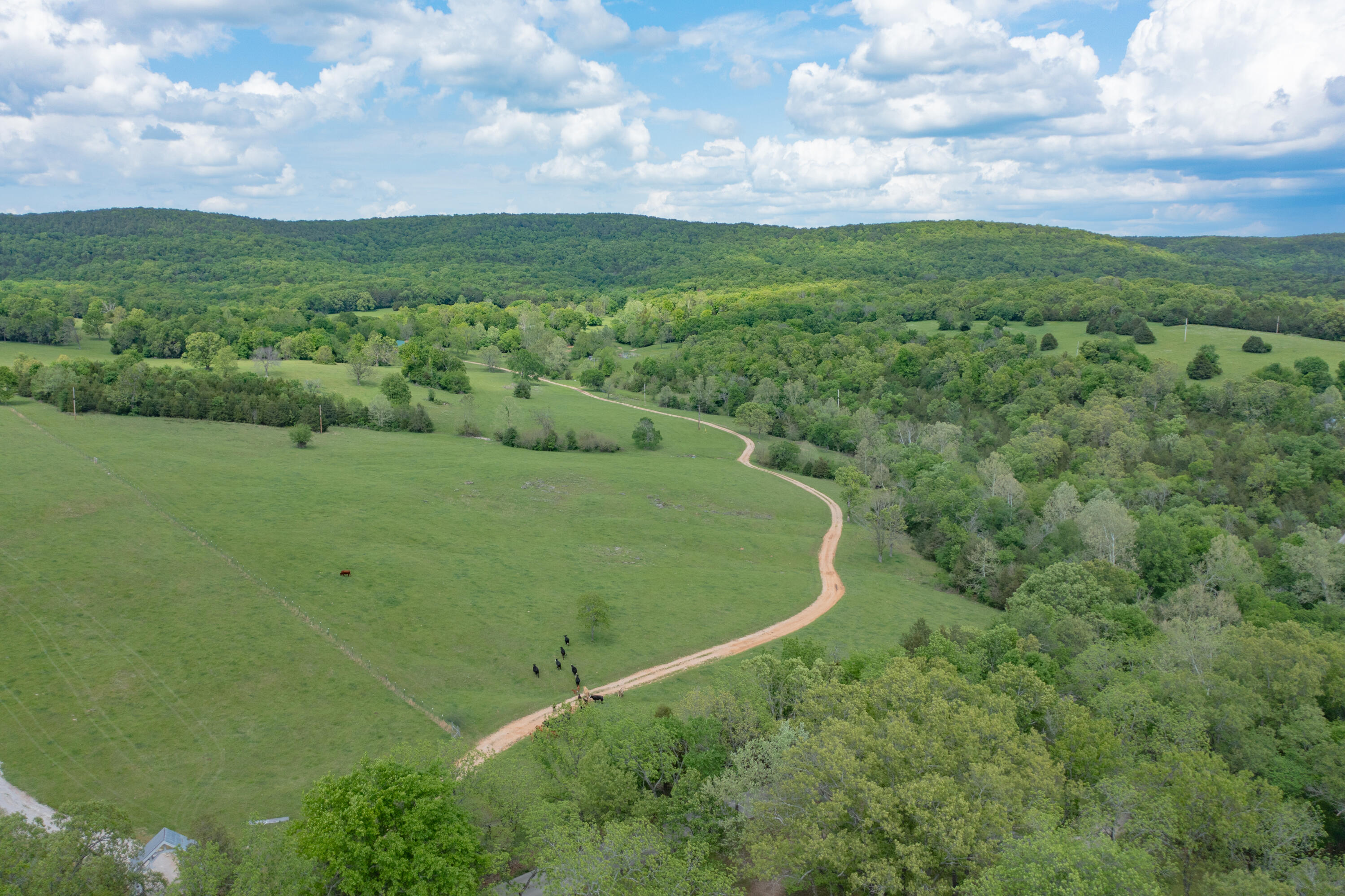 25032 Stallion Bluff Road Property Photo 40