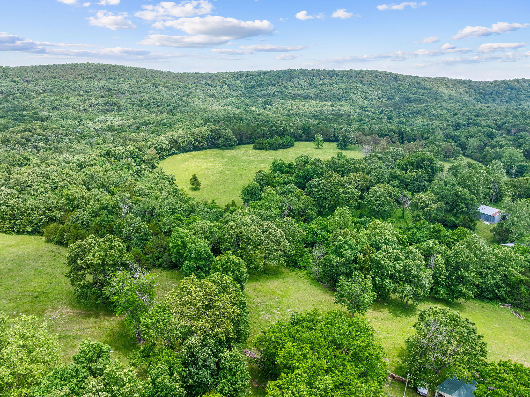 25032 Stallion Bluff Road Property Photo 44
