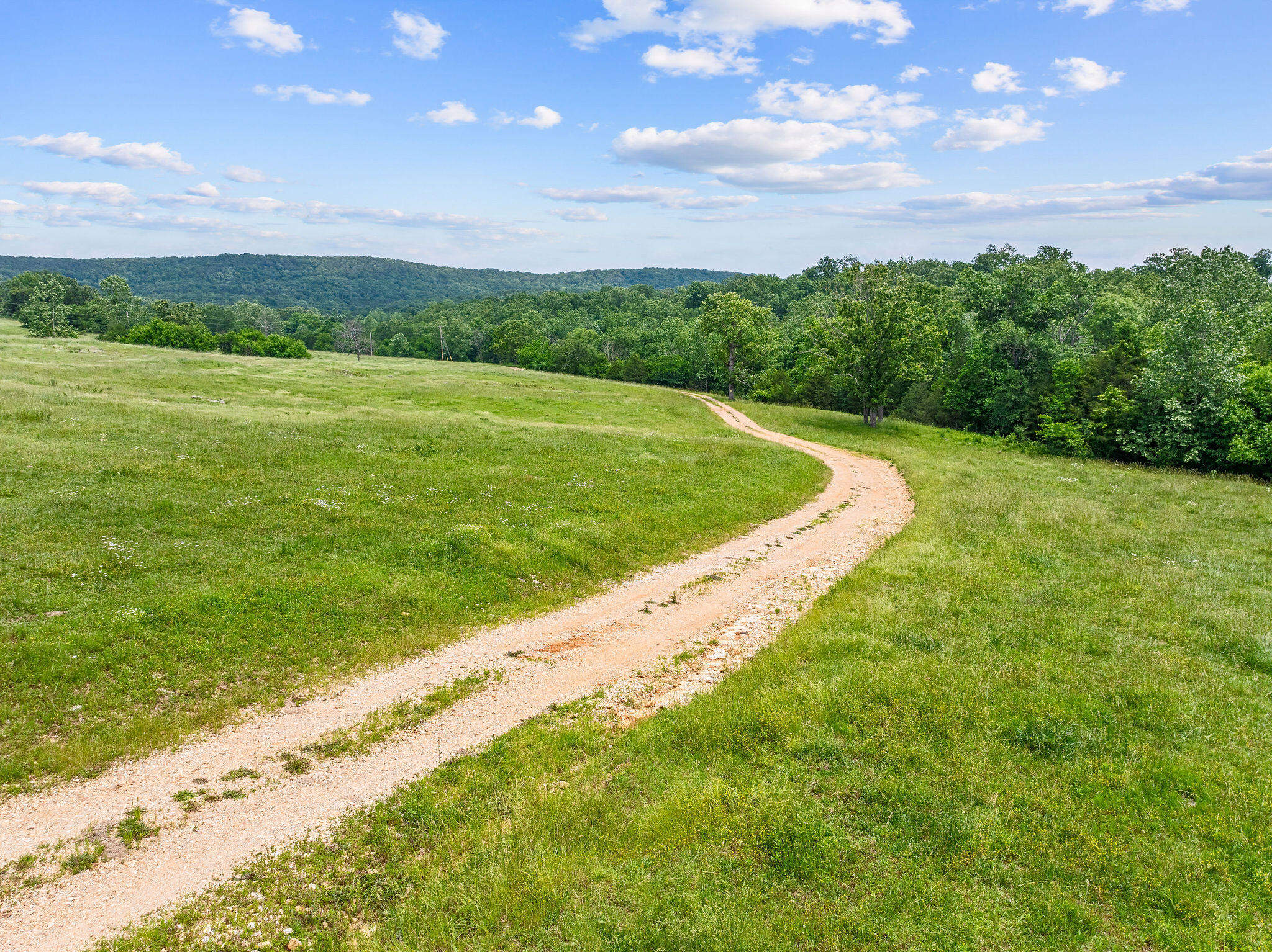 25032 Stallion Bluff Road Property Photo 54