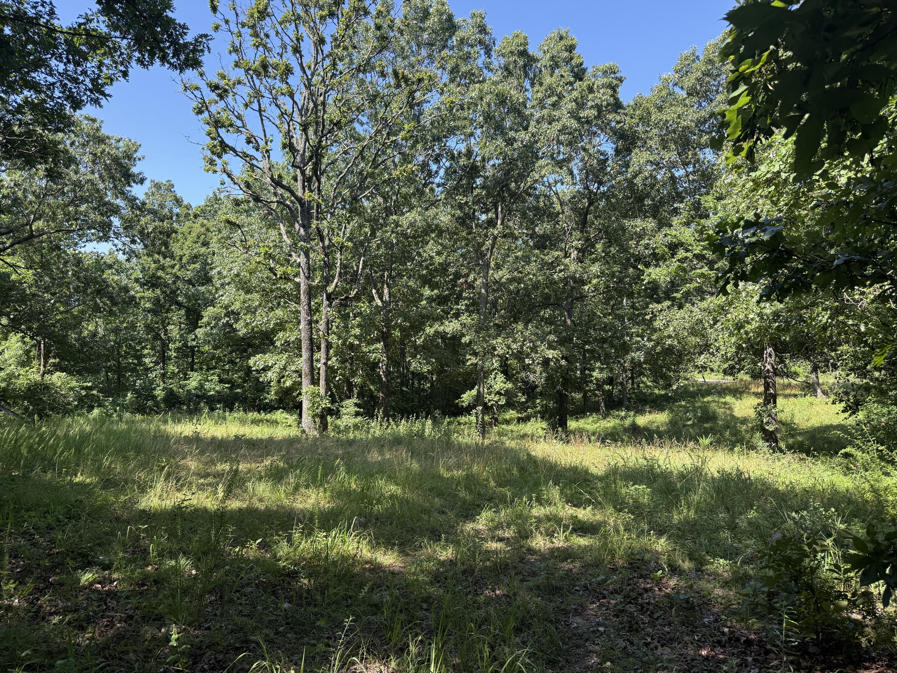000 Mulberry Drive Property Photo 1