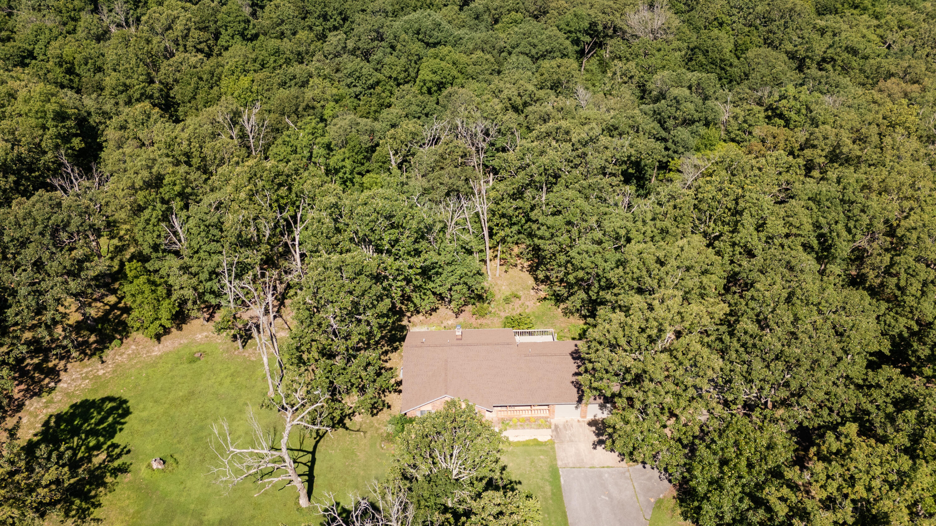 6337 South Farm Road 31 Property Photo 33