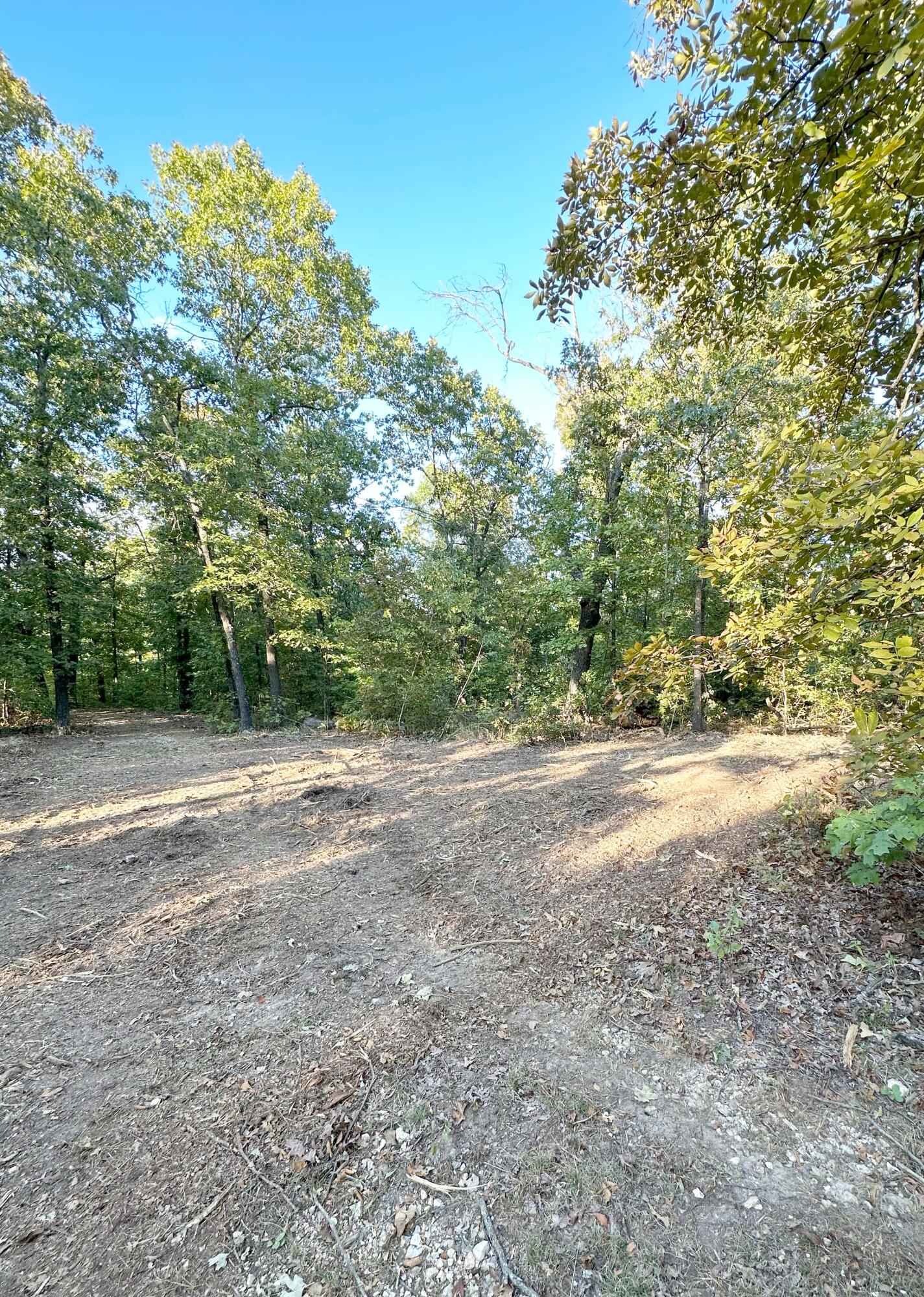000 State Hwy C Property Photo 5