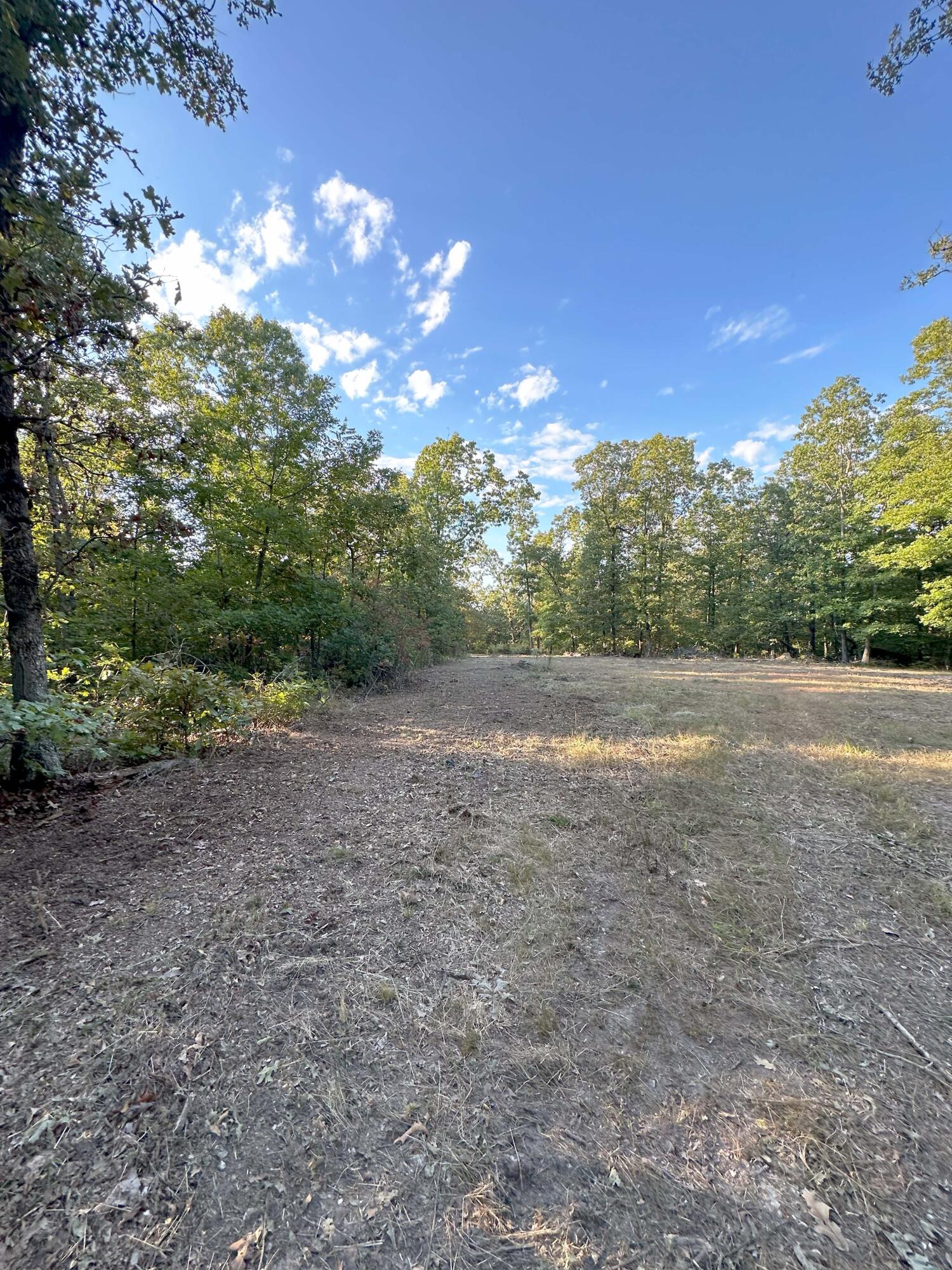 000 State Hwy C Property Photo 6