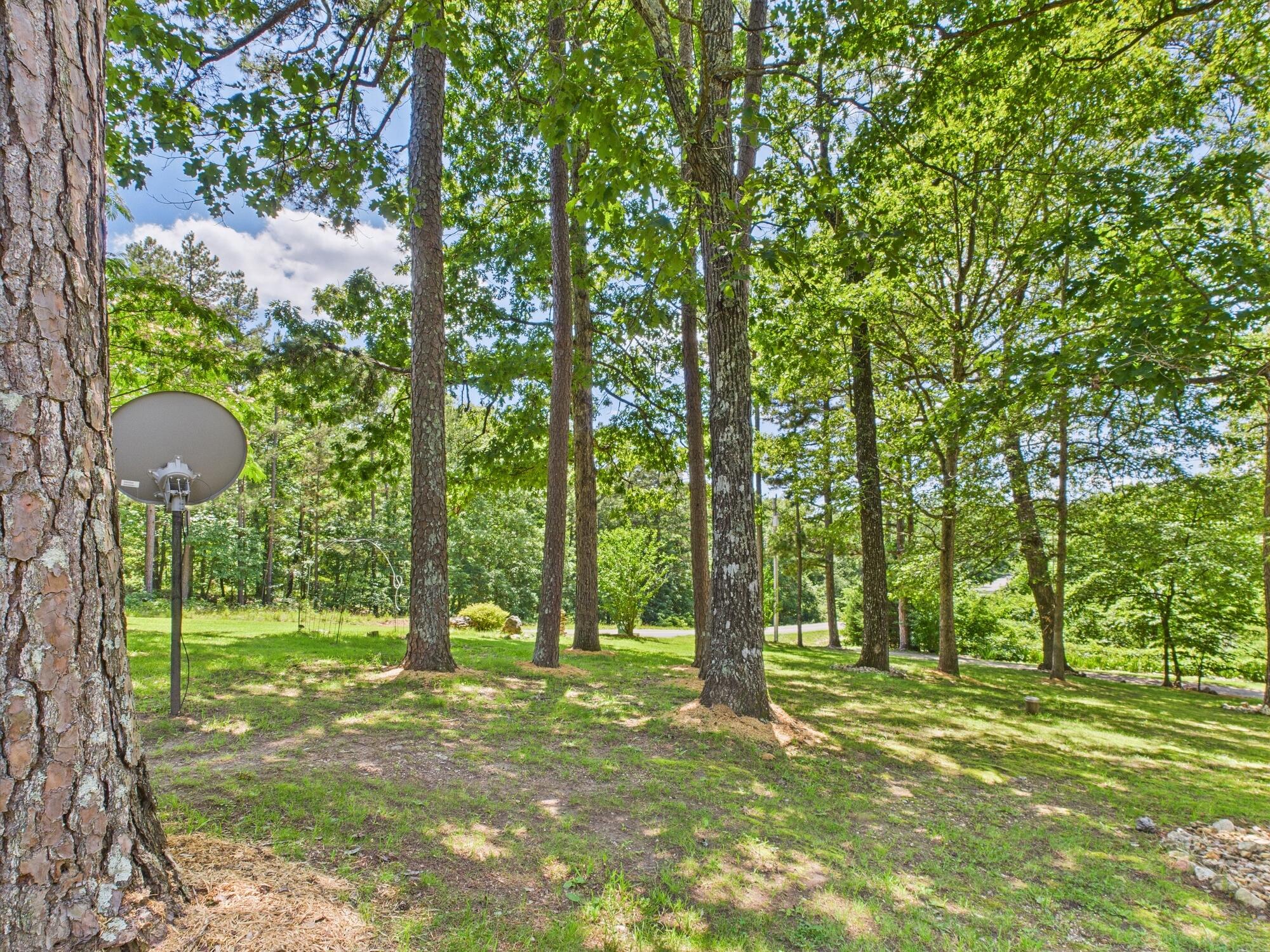 44469 State Hwy Am Property Photo 40