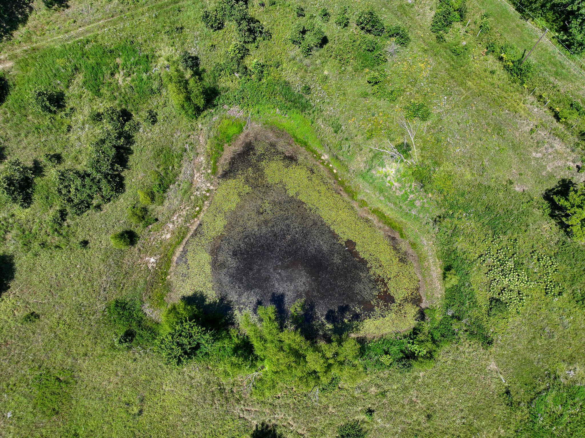 11270 Northeast 1351 Road Property Photo 12