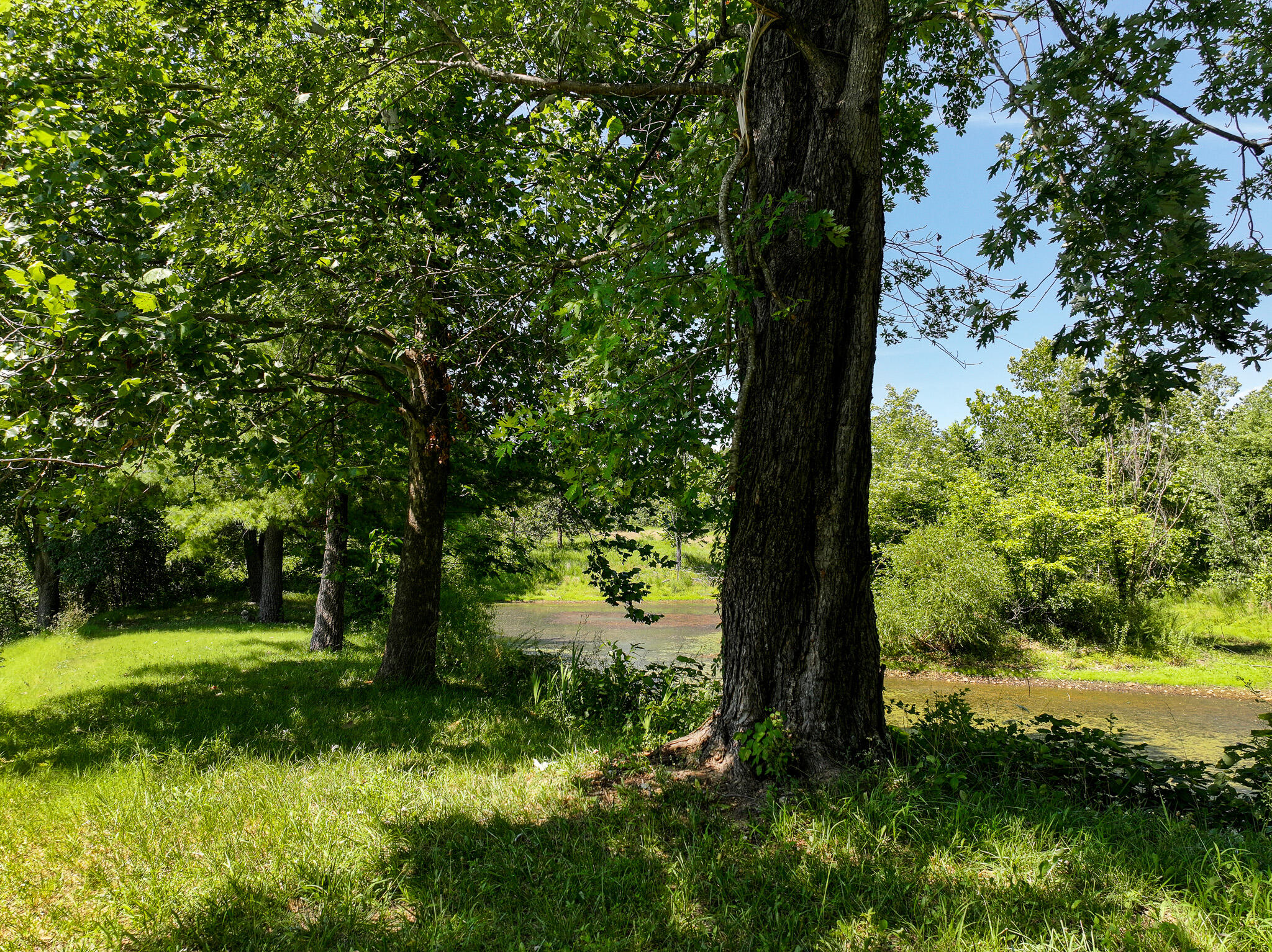 11270 Northeast 1351 Road Property Photo 57