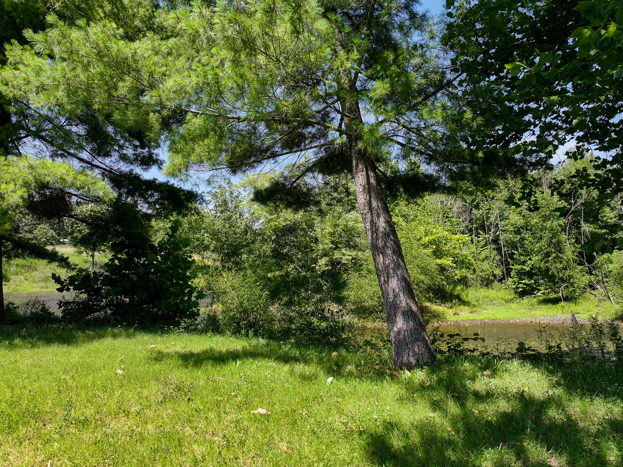 11270 Northeast 1351 Road Property Photo 58