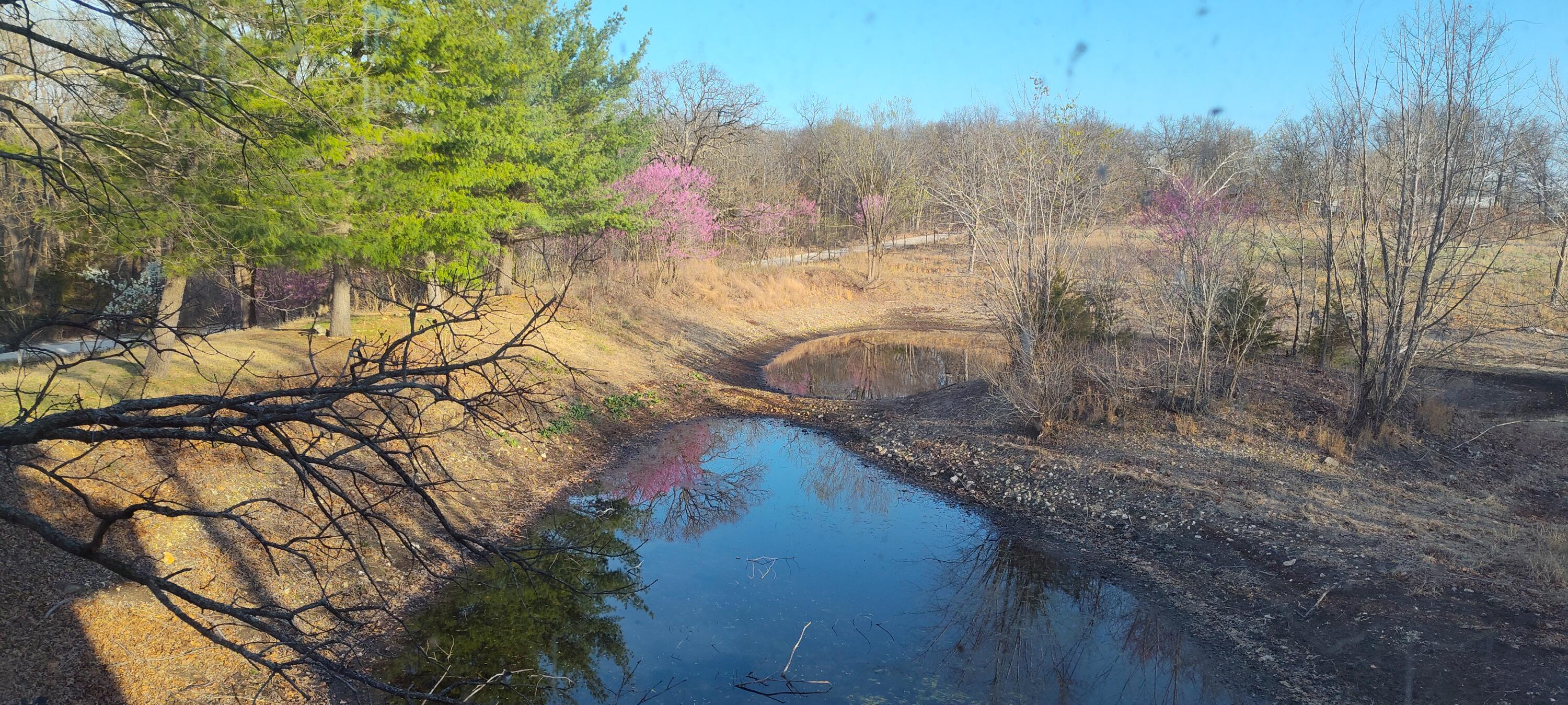 11270 Northeast 1351 Road Property Photo 91