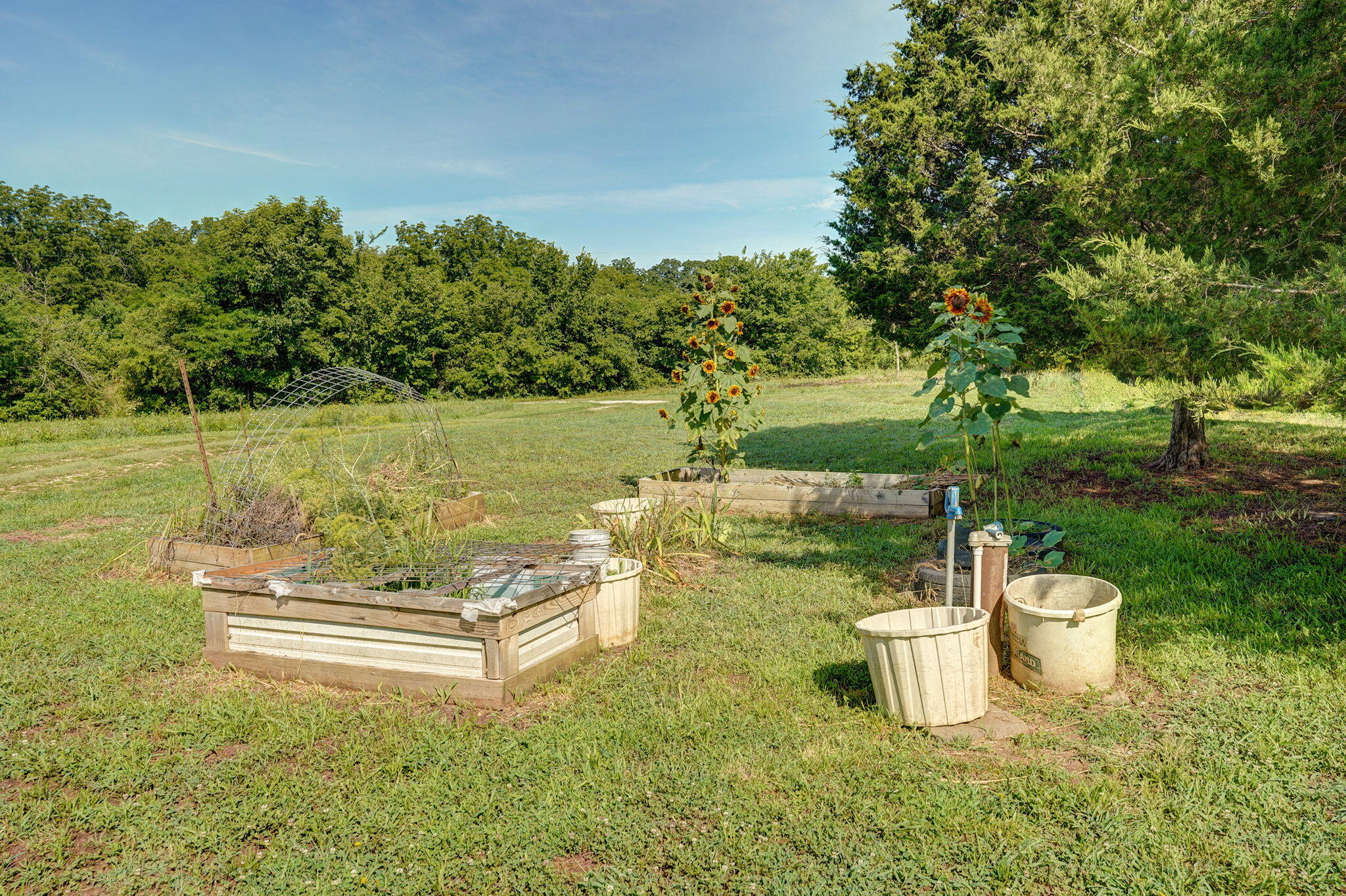 8404 Fossilsaurus Lane Property Photo 24