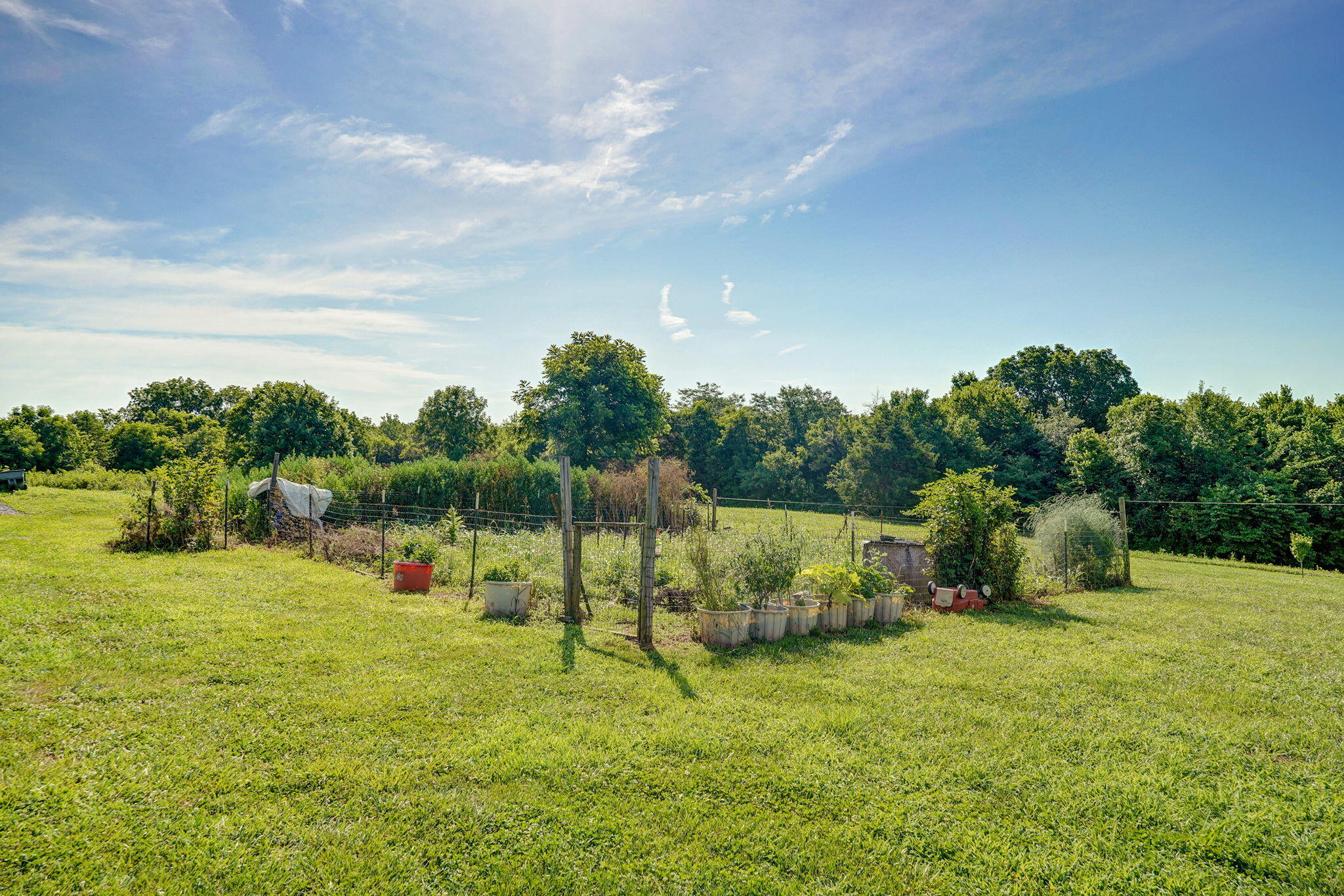 8404 Fossilsaurus Lane Property Photo 27