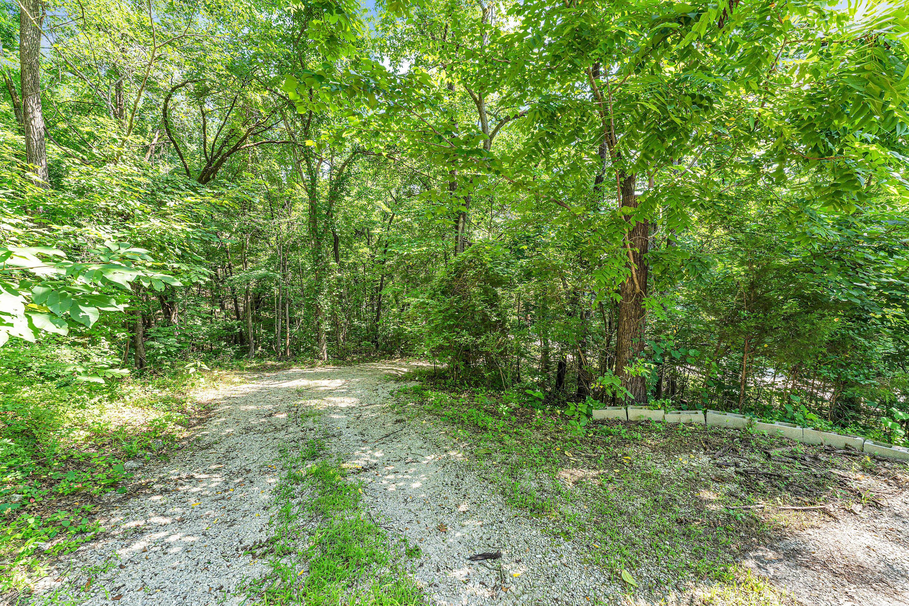 3637 State Hwy Y Property Photo 19