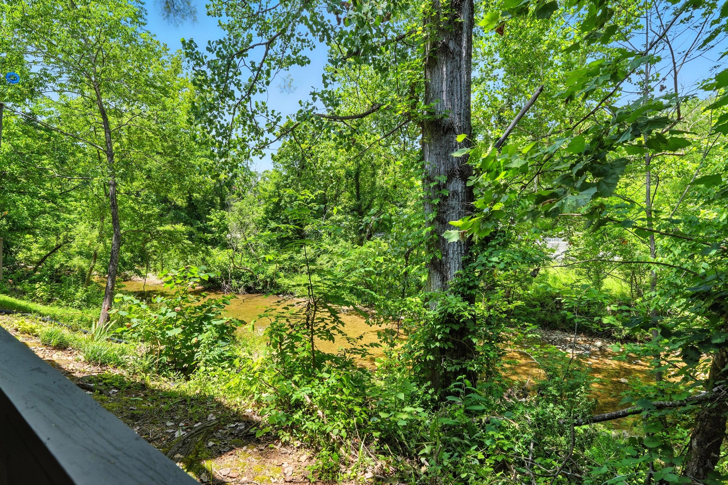7815 Cozy Cove Road Property Photo 18