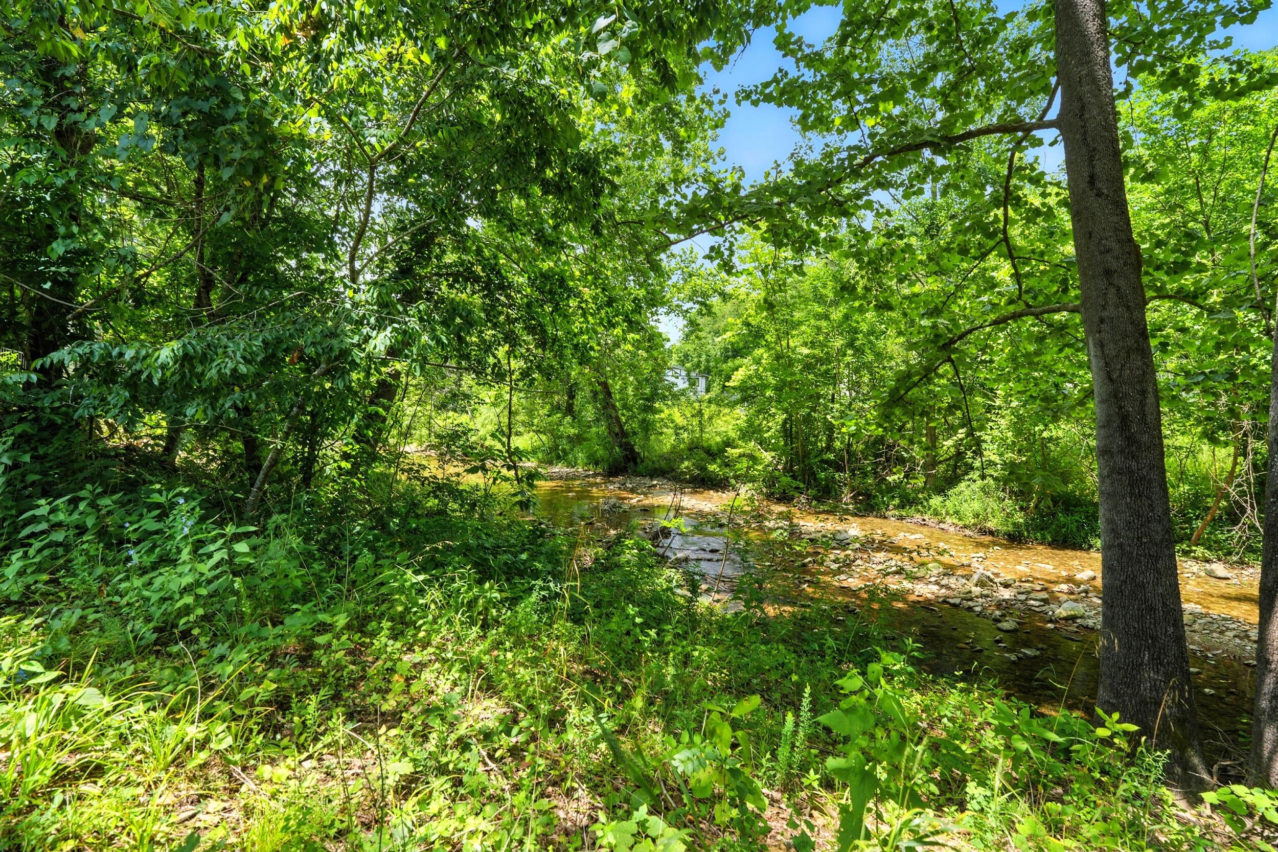 7815 Cozy Cove Road Property Photo 32