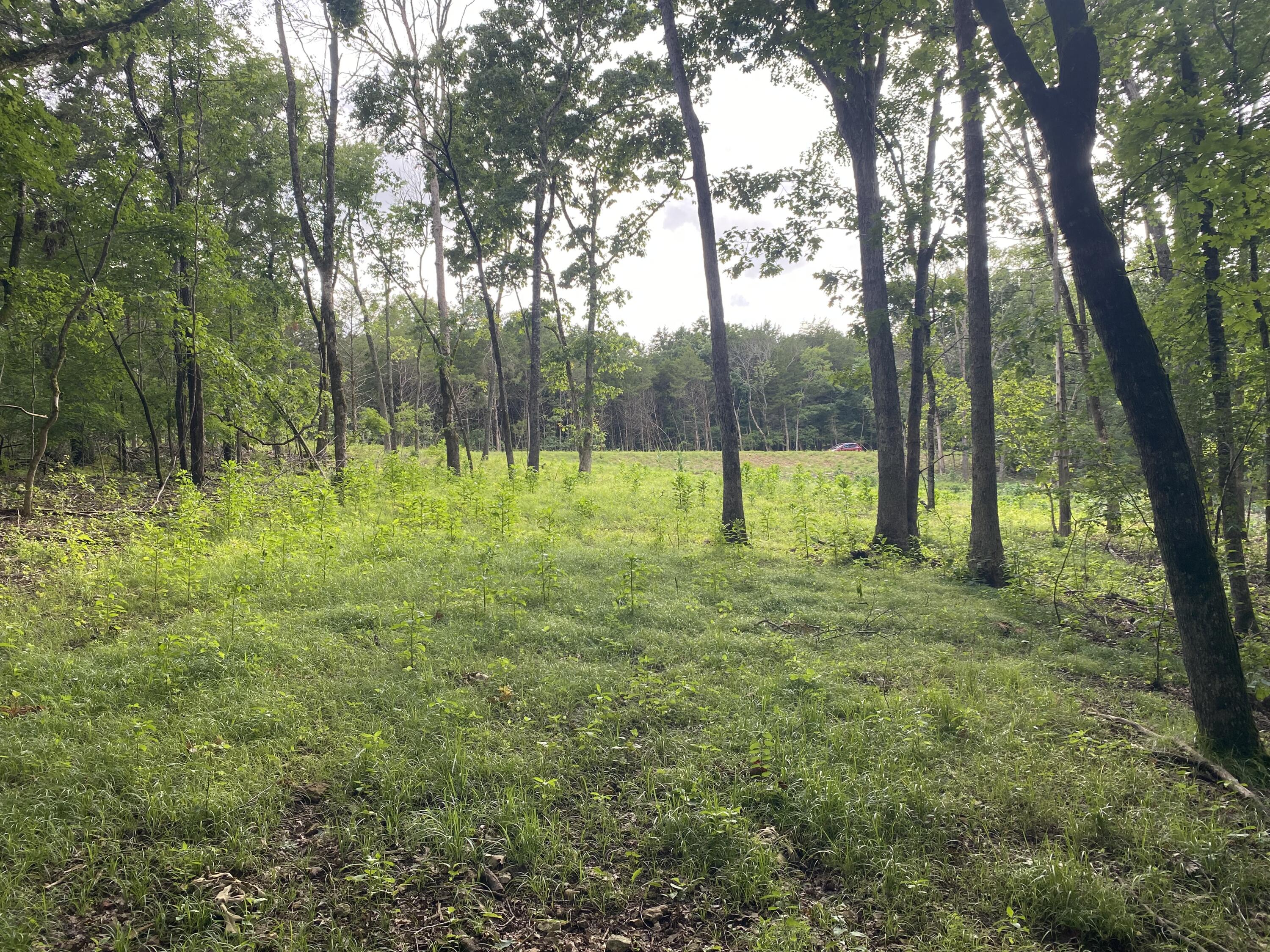 000 Wooley Creek Road Property Photo 4