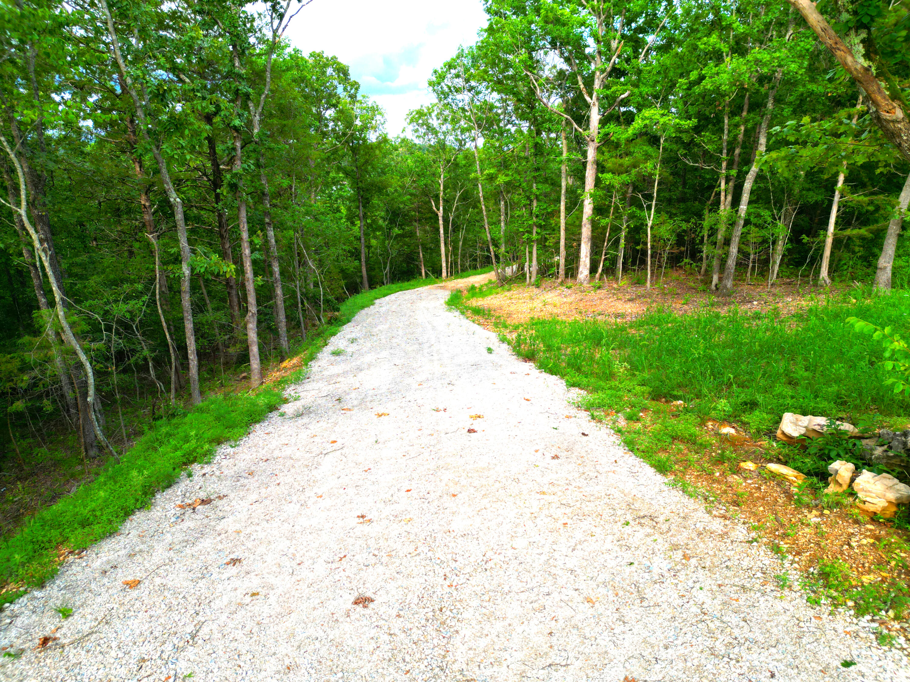 000 Wooley Creek Road Property Photo 9