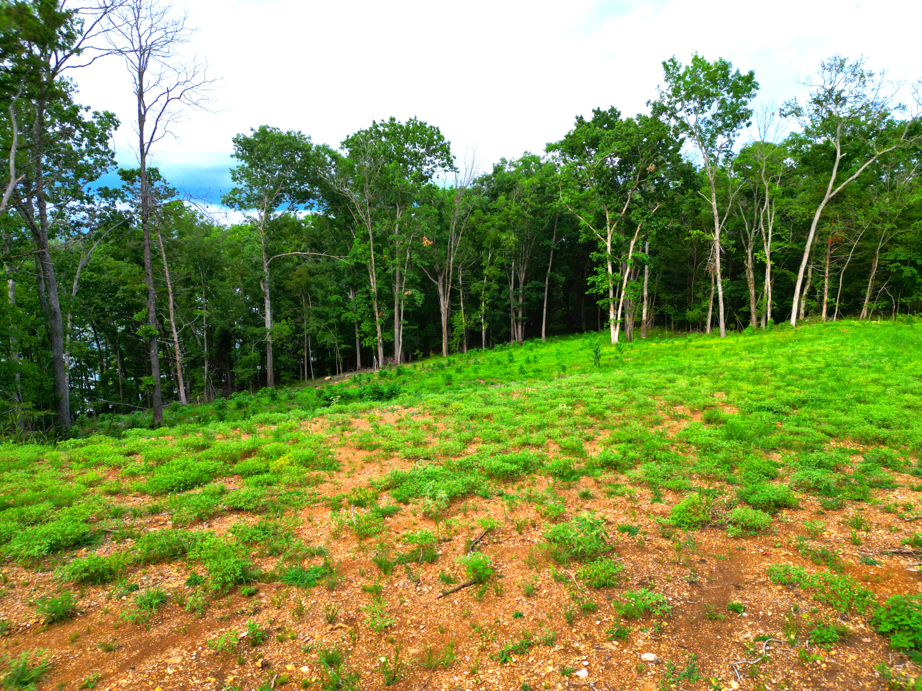 000 Wooley Creek Road Property Photo 12