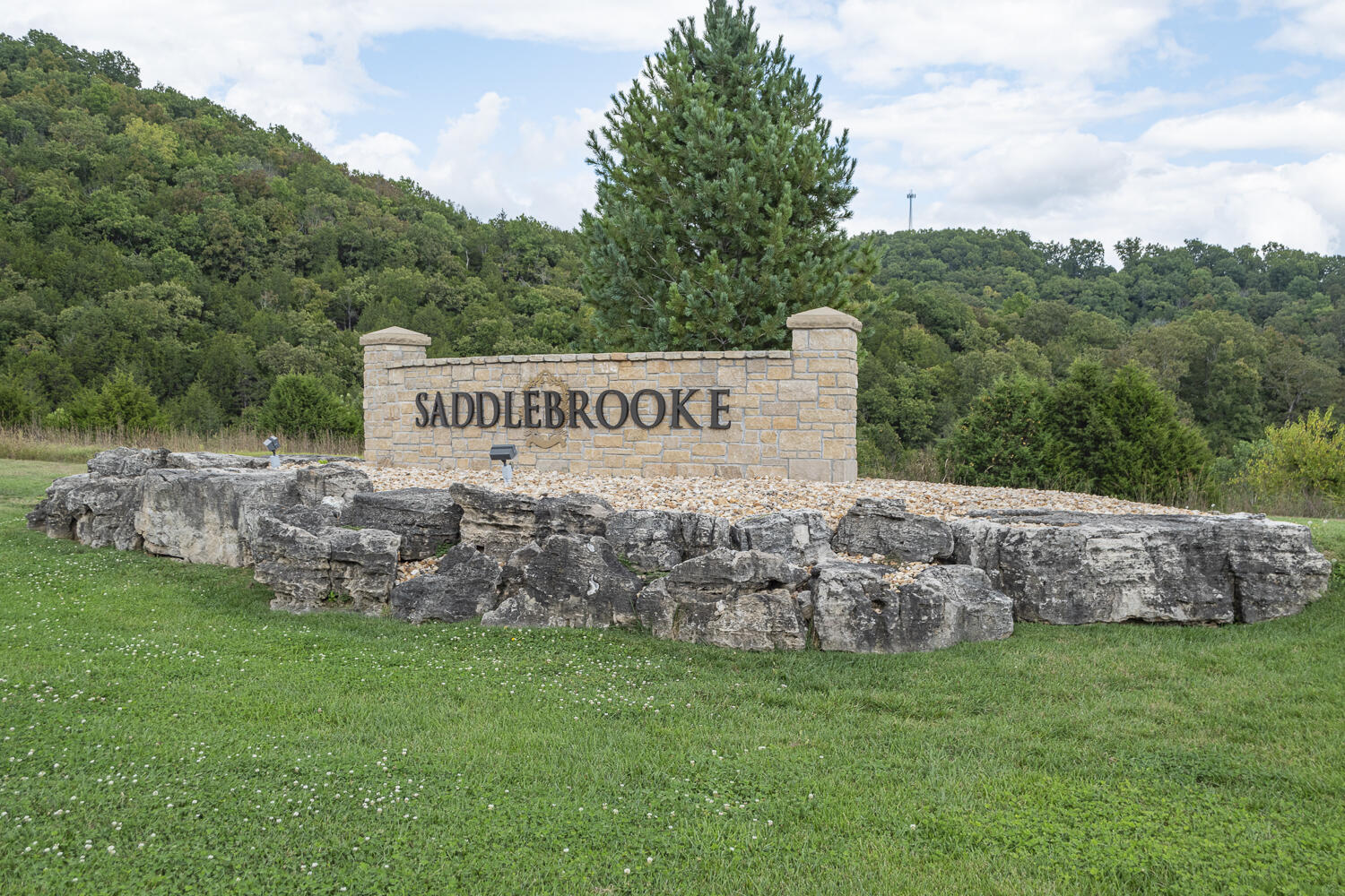 Lot 133 Seven Pines Drive Property Photo 1
