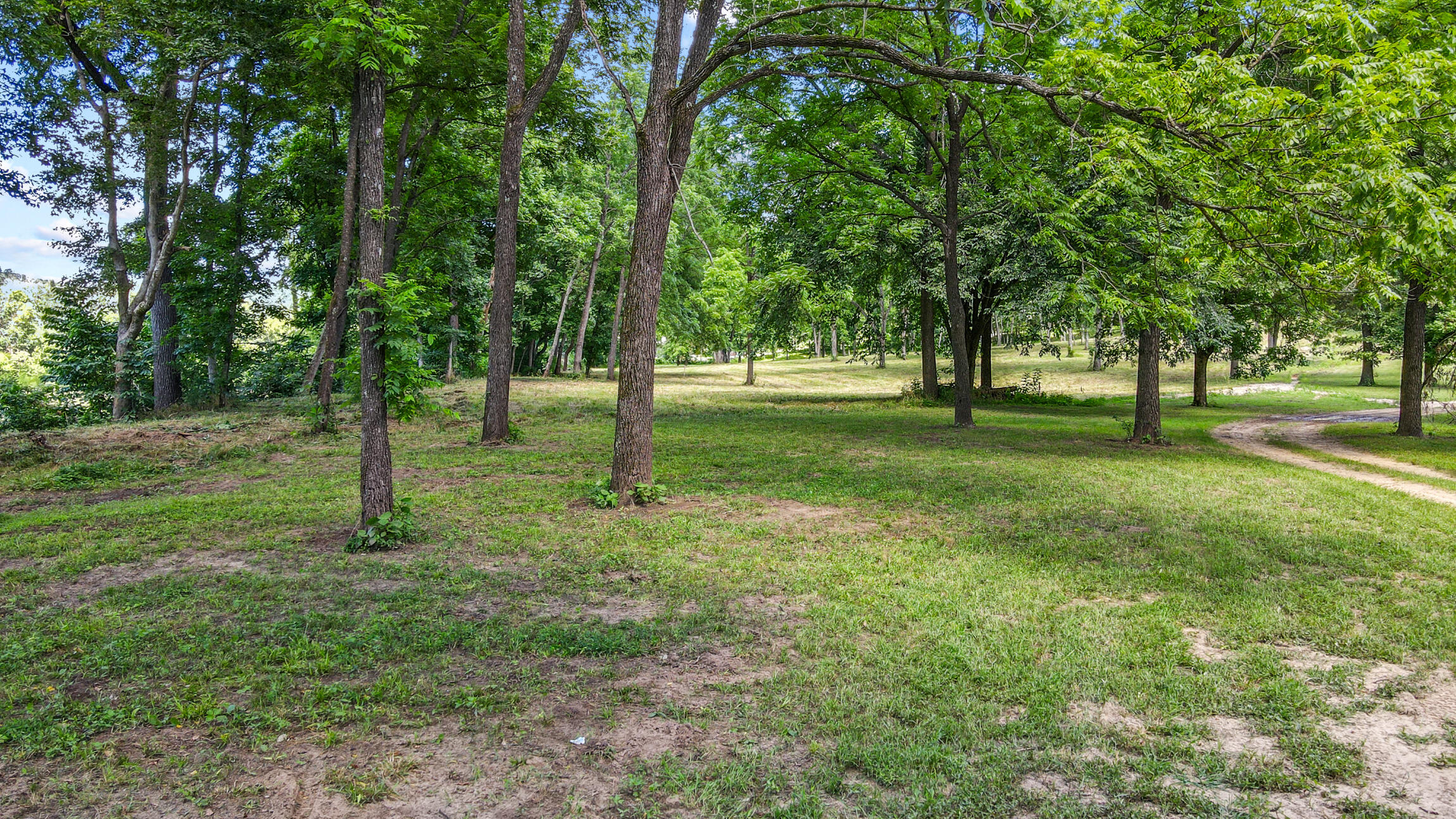000 Blue Ribbon Property Photo 3