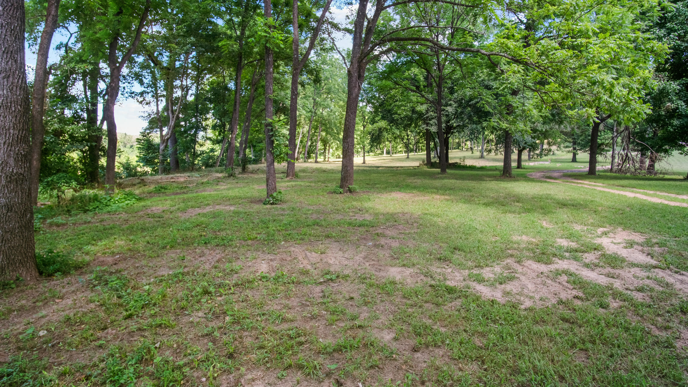 000 Blue Ribbon Property Photo 6