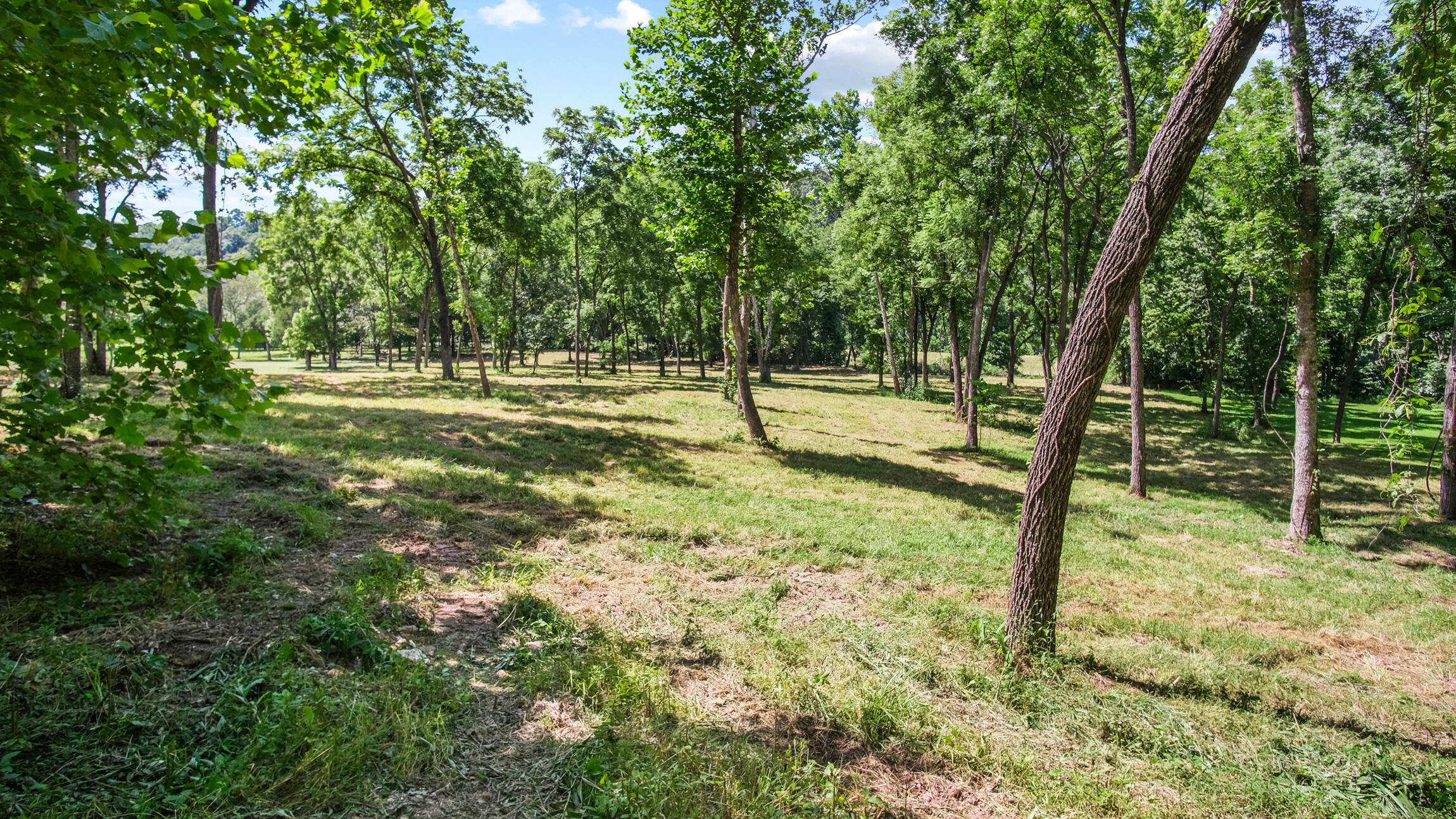 000 Blue Ribbon Property Photo 10