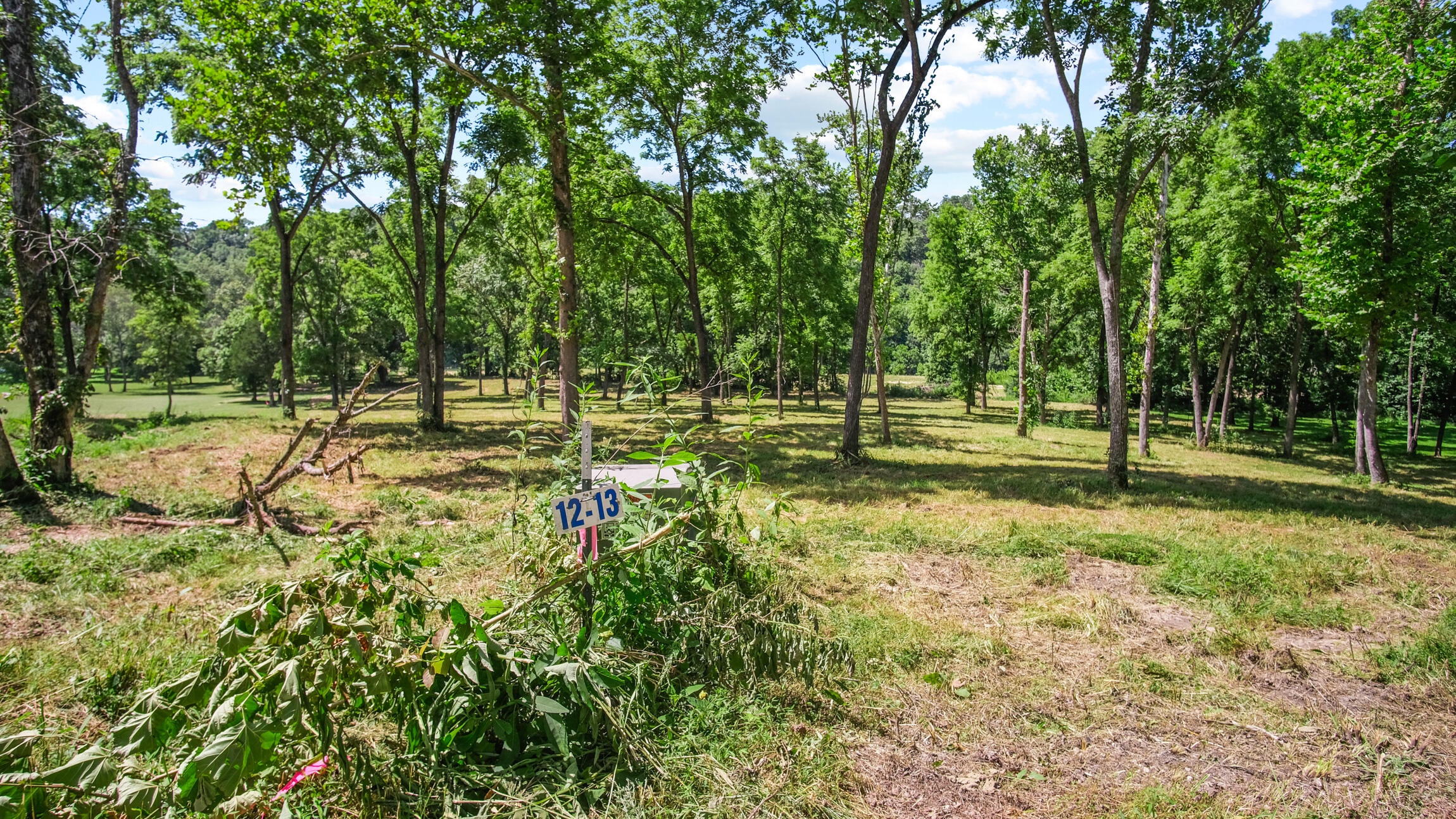000 Blue Ribbon Property Photo 11