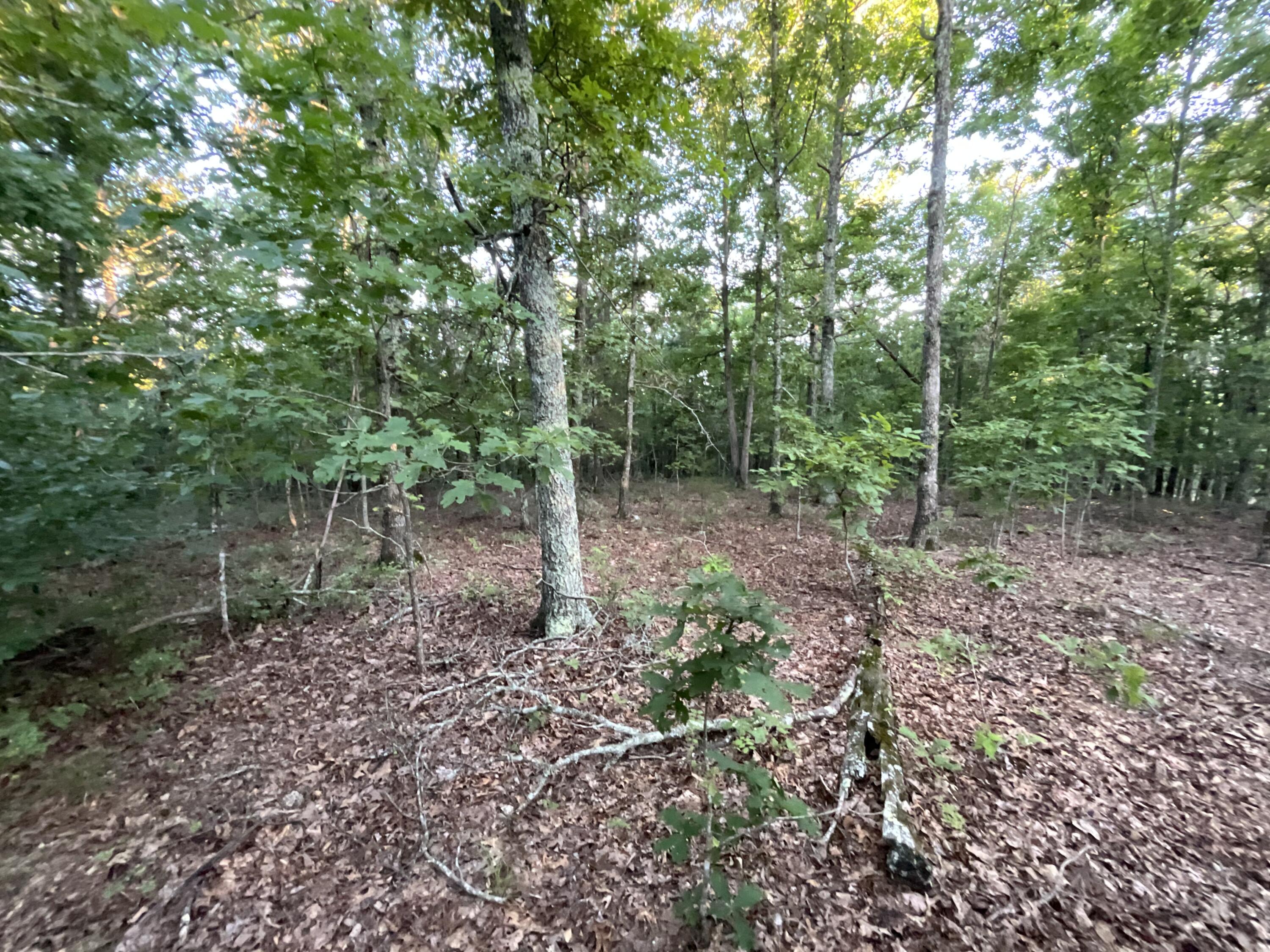 10295 County Road 458a Property Photo 45