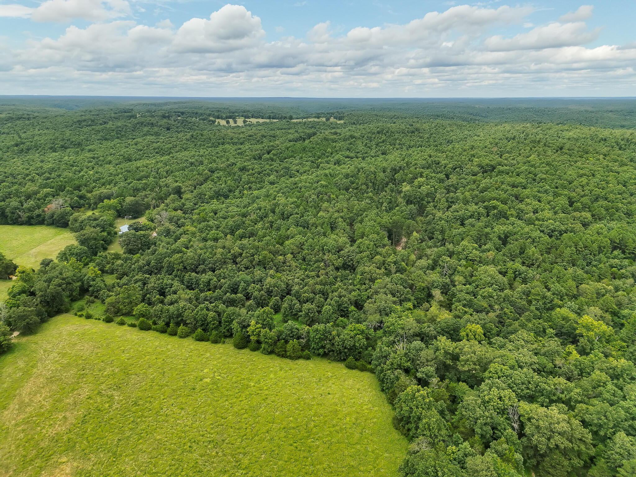 10295 County Road 458a Property Photo 55