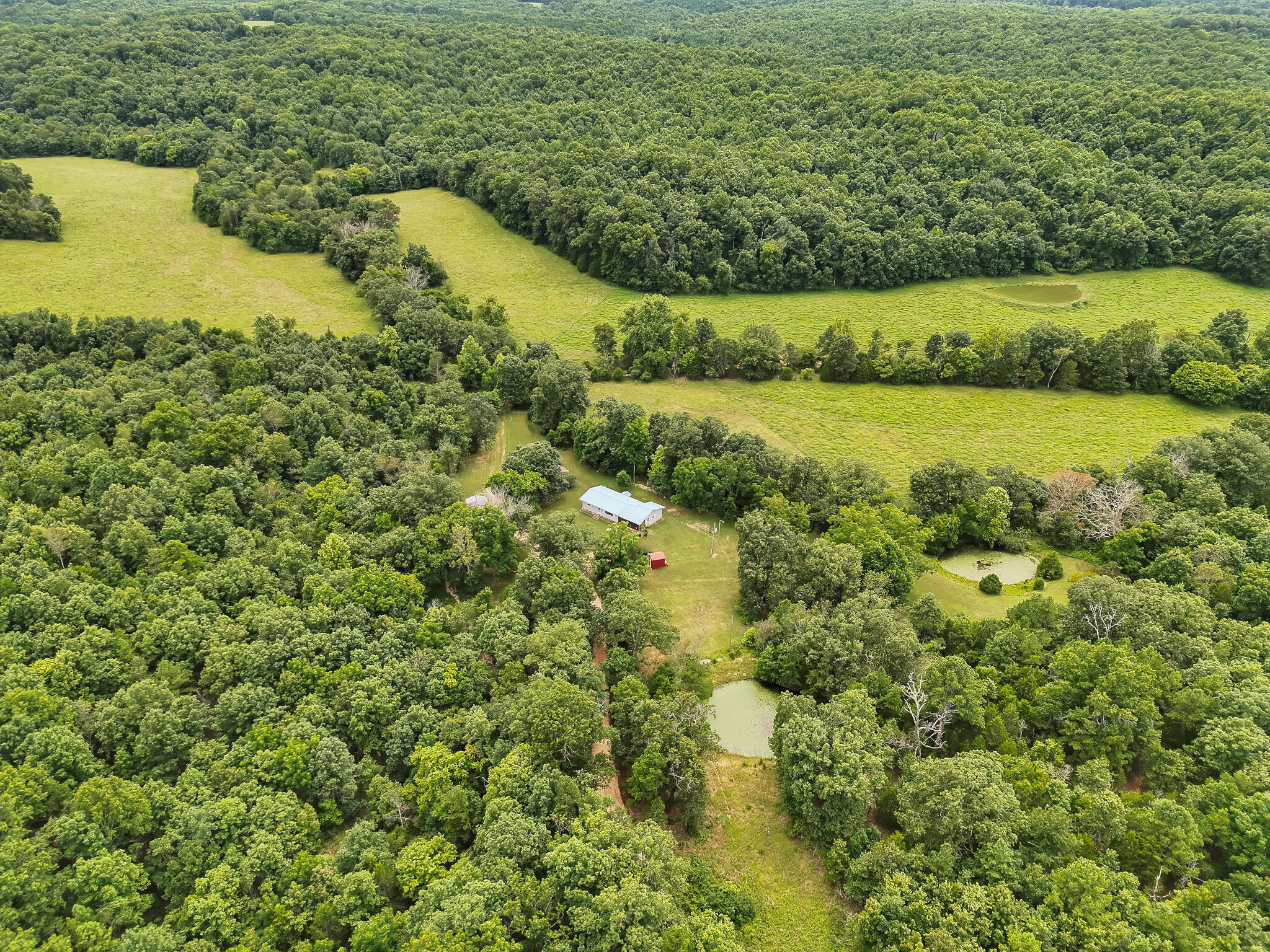 10295 County Road 458a Property Photo 57