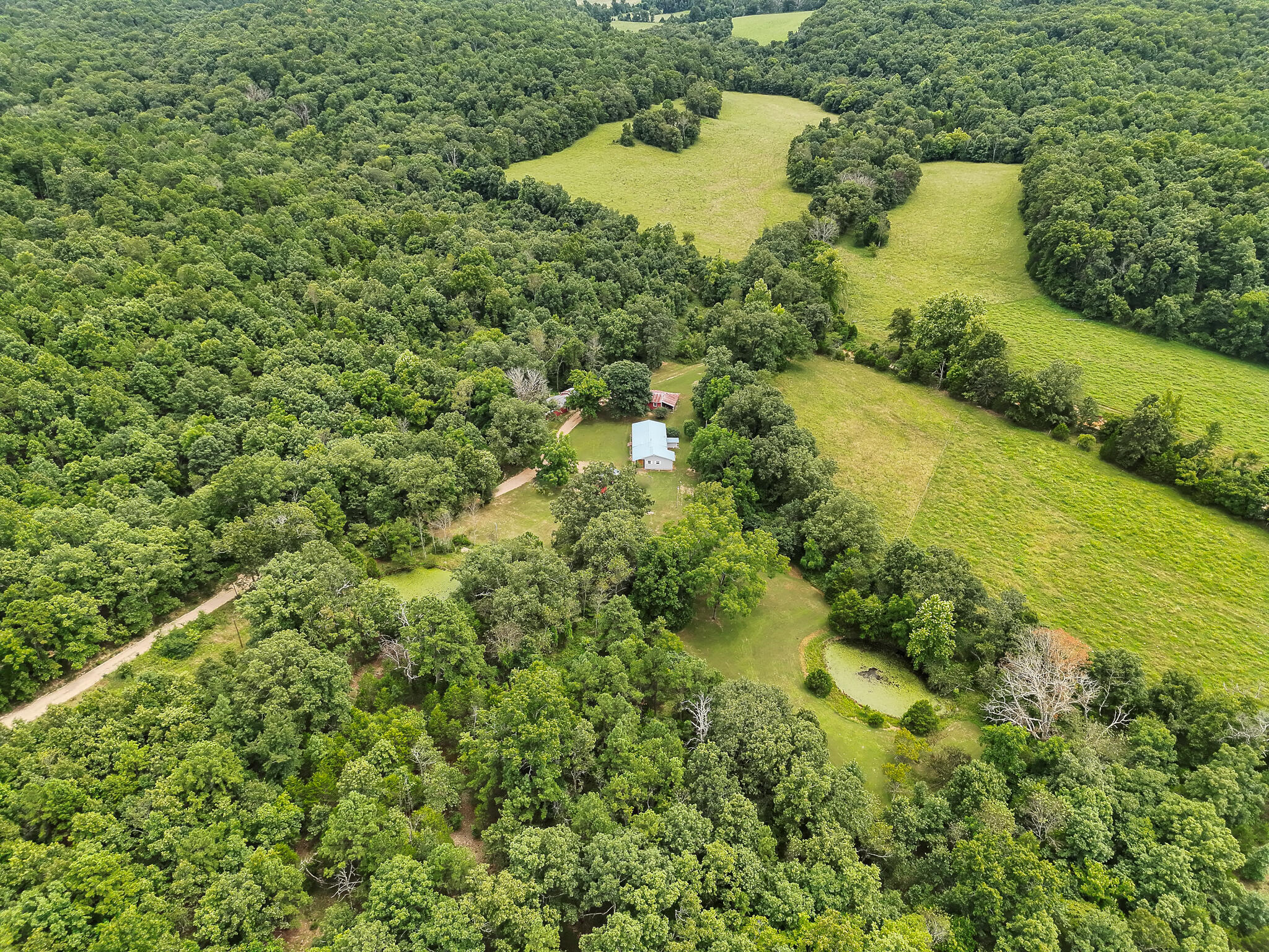 10295 County Road 458a Property Photo 58