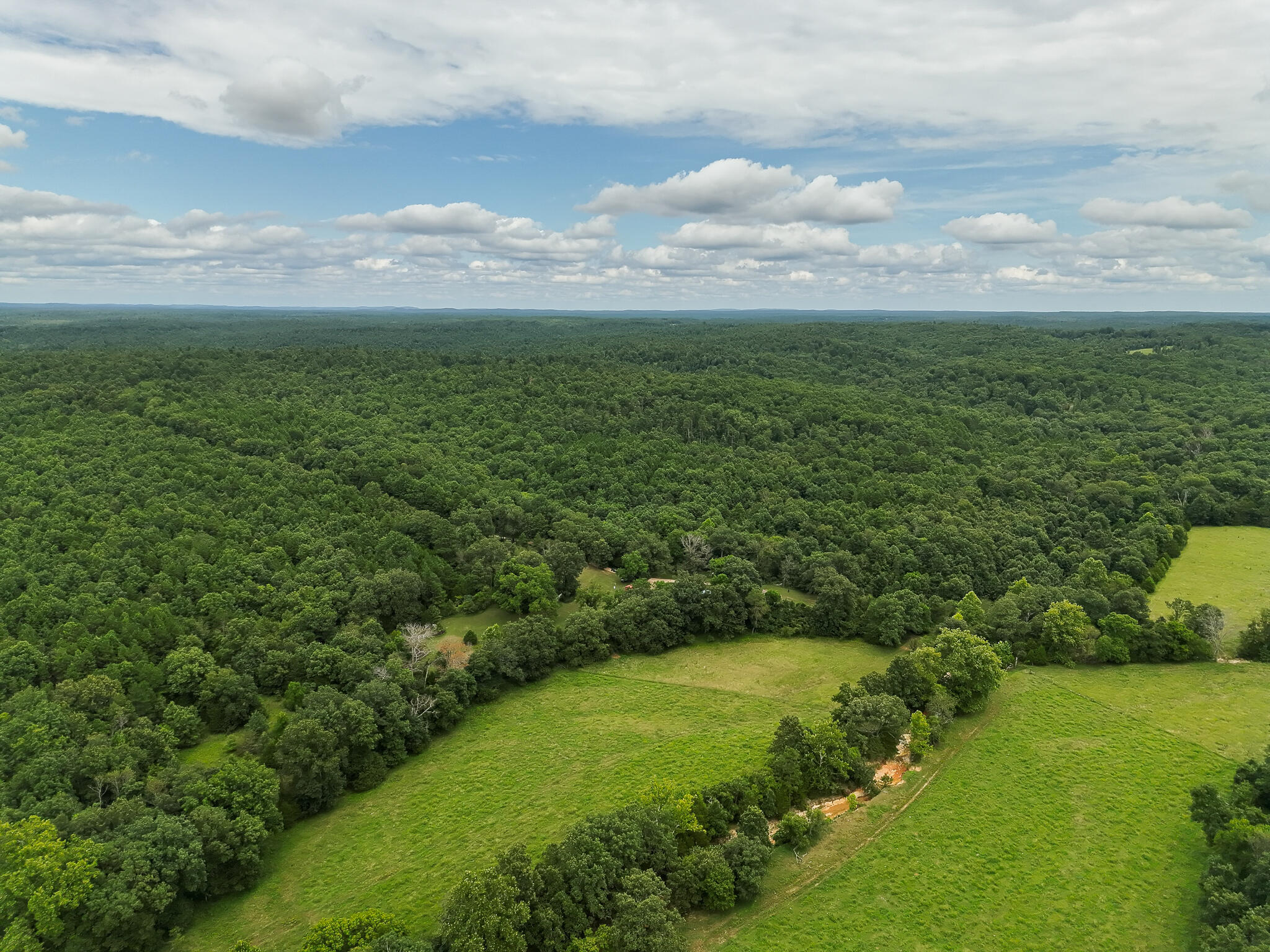 10295 County Road 458a Property Photo 59