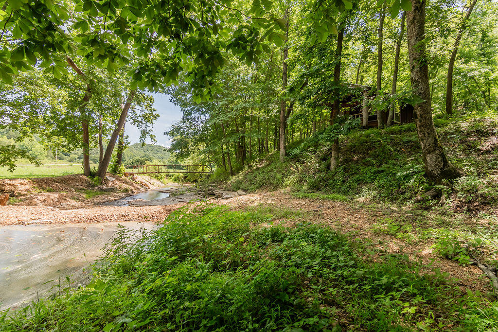 32103 State Highway 413 Property Photo 39