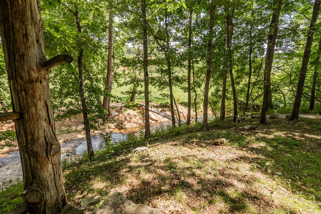 32103 State Highway 413 Property Photo 46