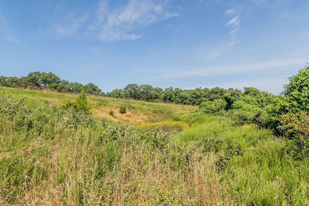 32103 State Highway 413 Property Photo 57