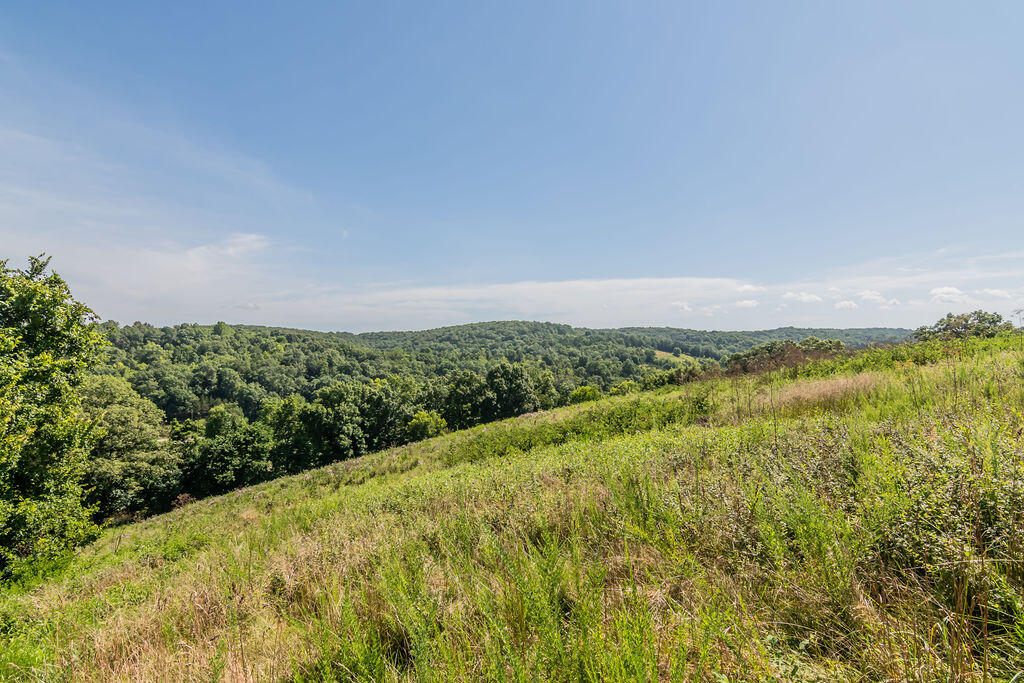 32103 State Highway 413 Property Photo 58