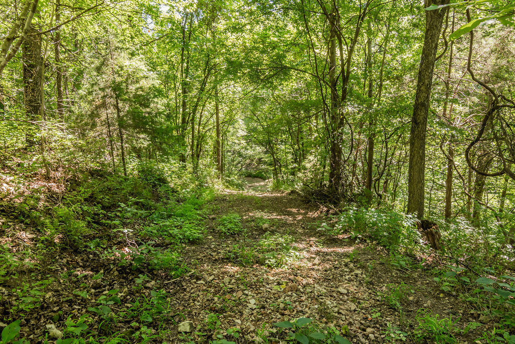 32103 State Highway 413 Property Photo 62