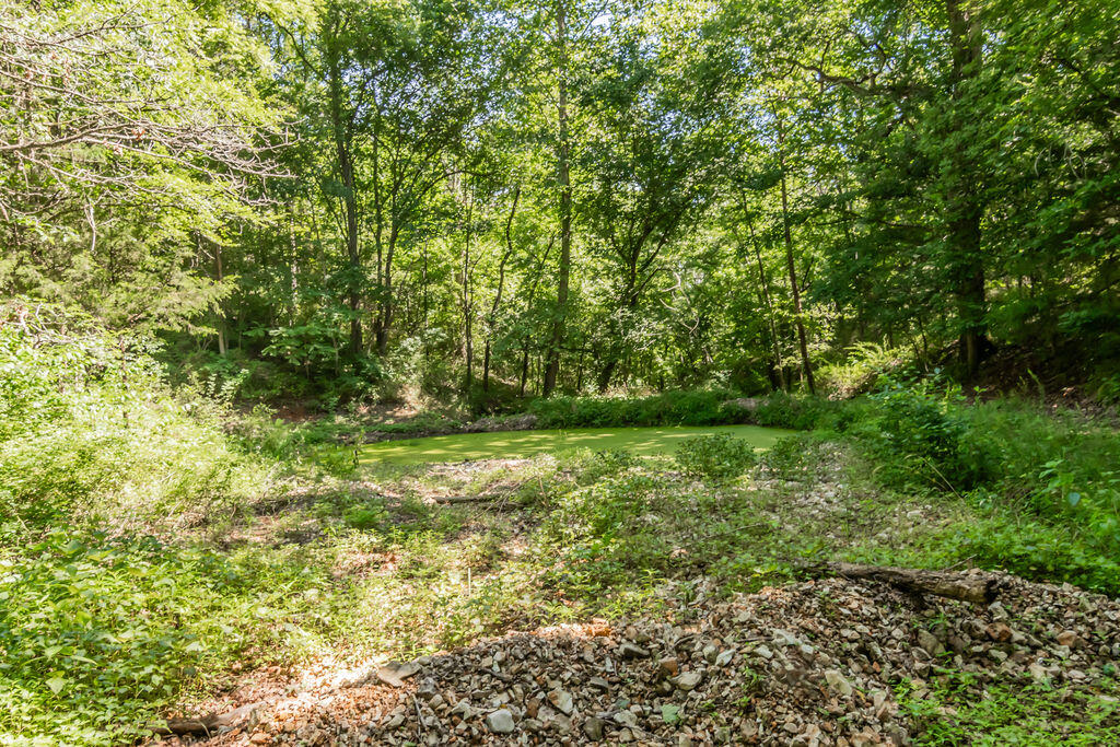 32103 State Highway 413 Property Photo 63