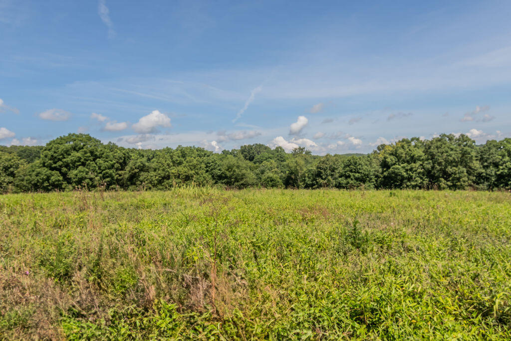 32103 State Highway 413 Property Photo 64