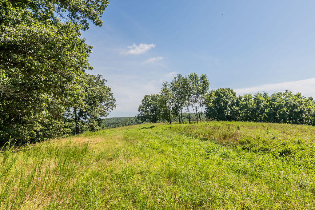 32103 State Highway 413 Property Photo 64