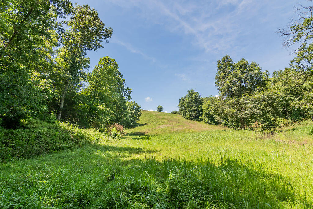 32103 State Highway 413 Property Photo 69