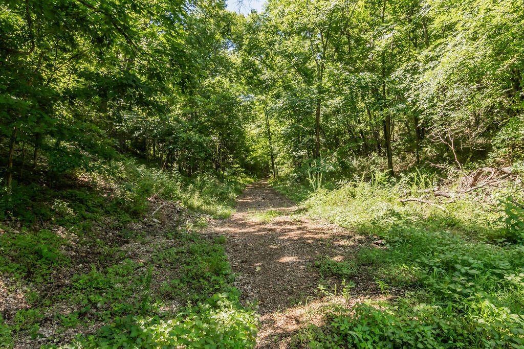 32103 State Highway 413 Property Photo 69