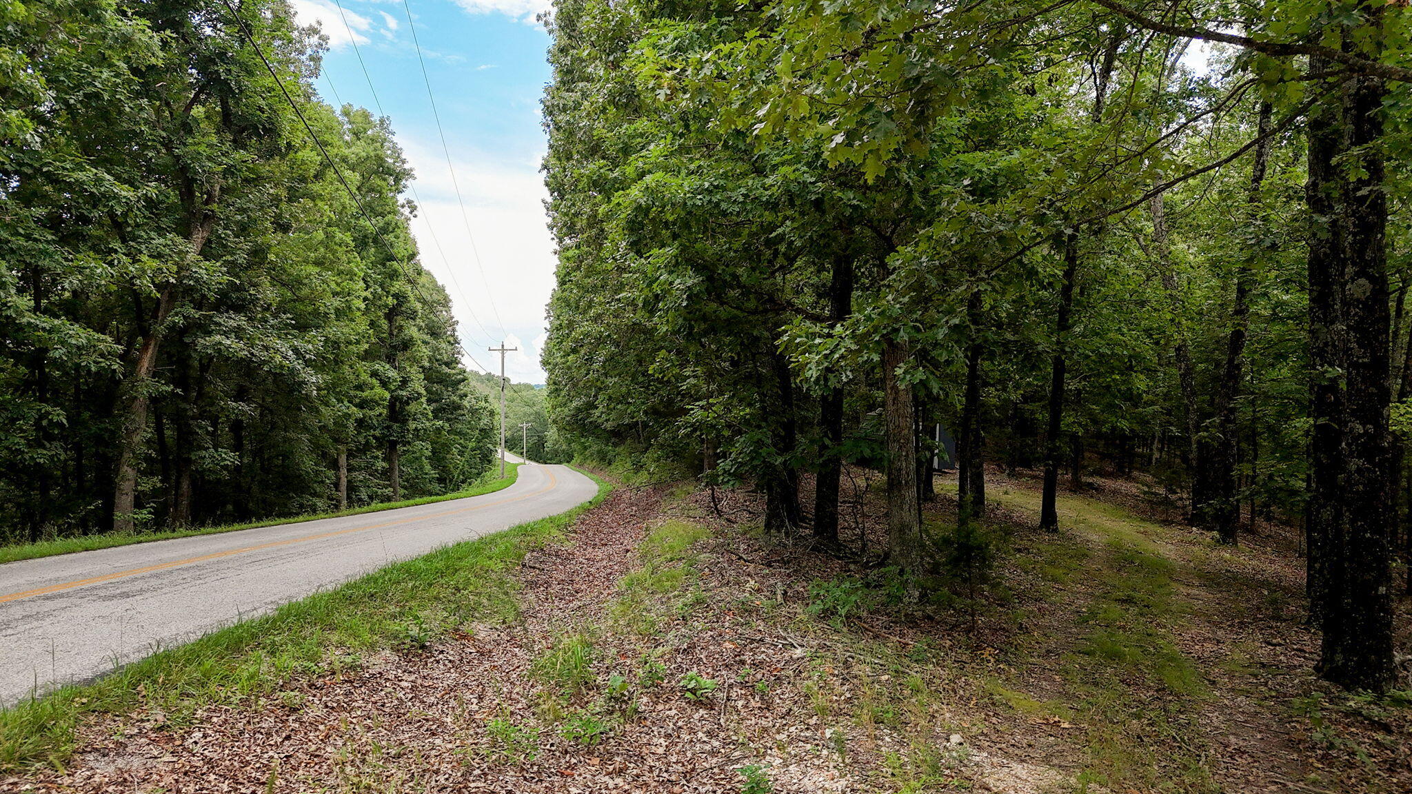 000 Buttermilk Spring Road Property Photo 4