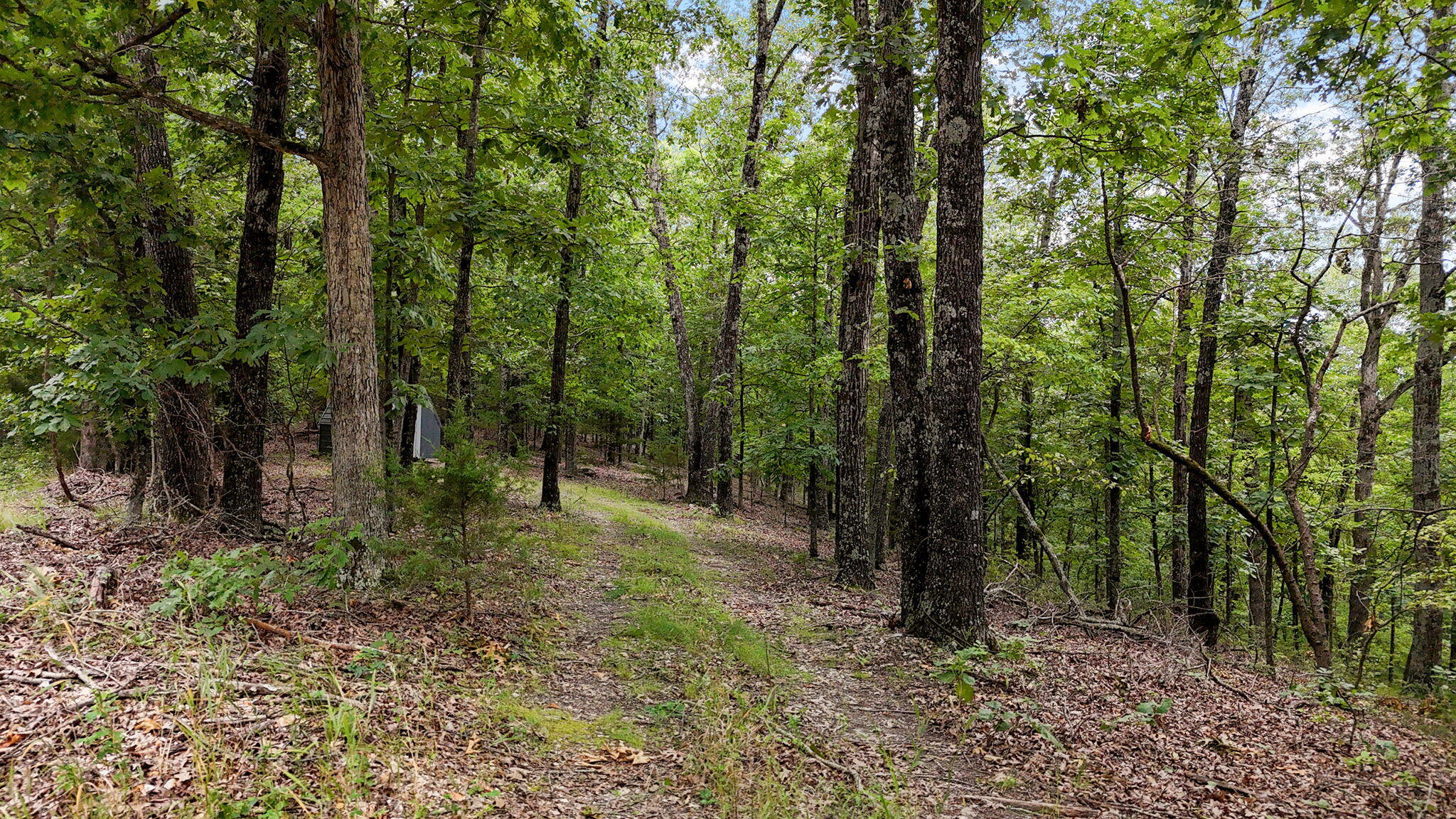 000 Buttermilk Spring Road Property Photo 5