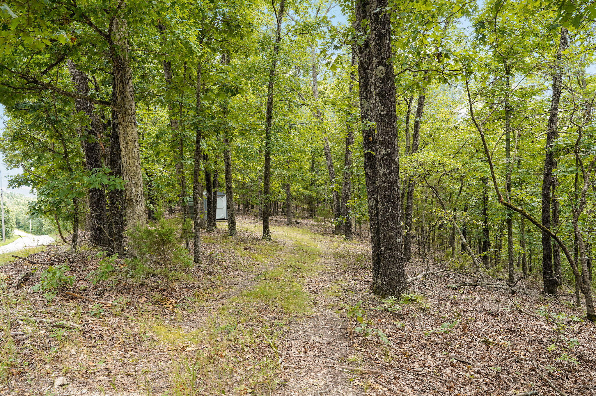 000 Buttermilk Spring Road Property Photo 6